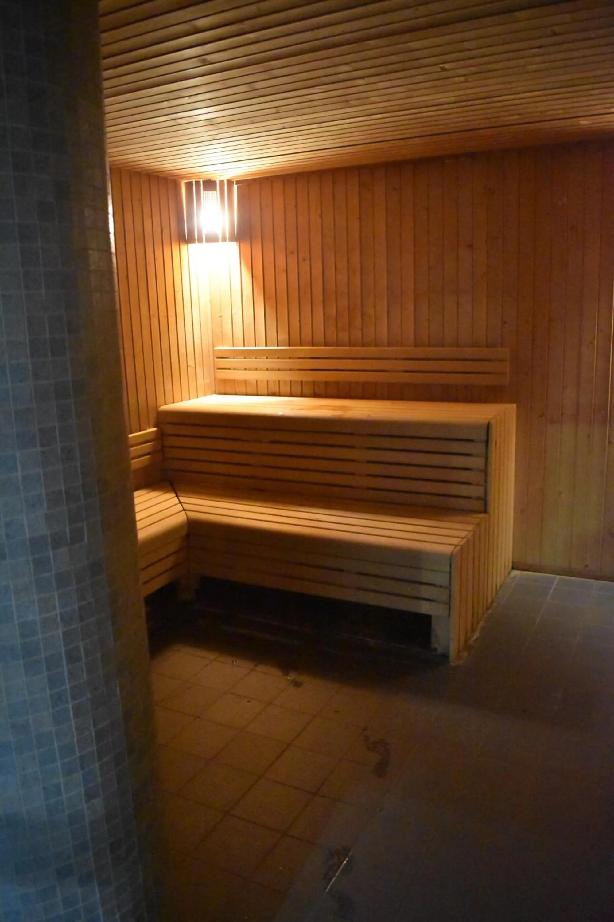 Sauna in Le Village Vacances de Luz Saint Sauveur