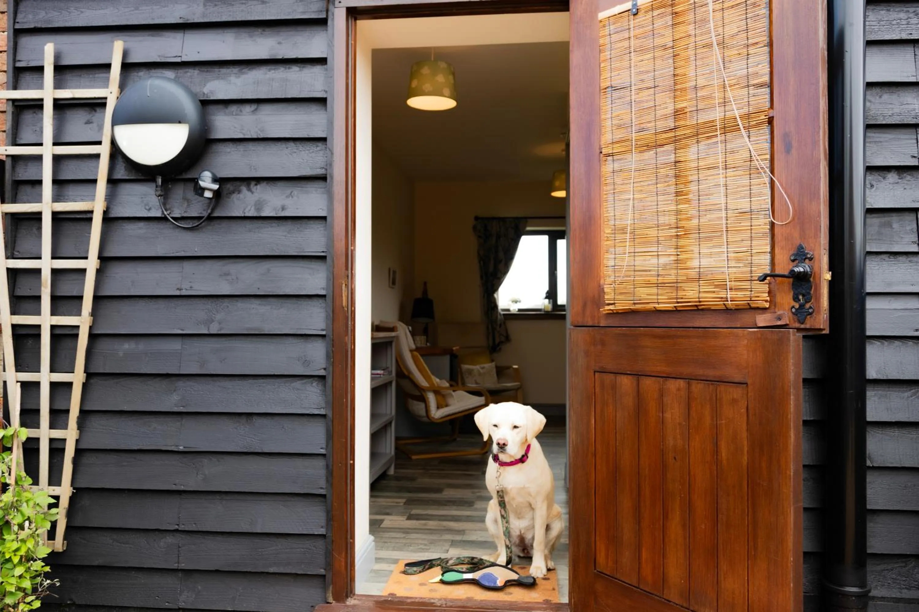 pet friendly in Norfolk Accommodation