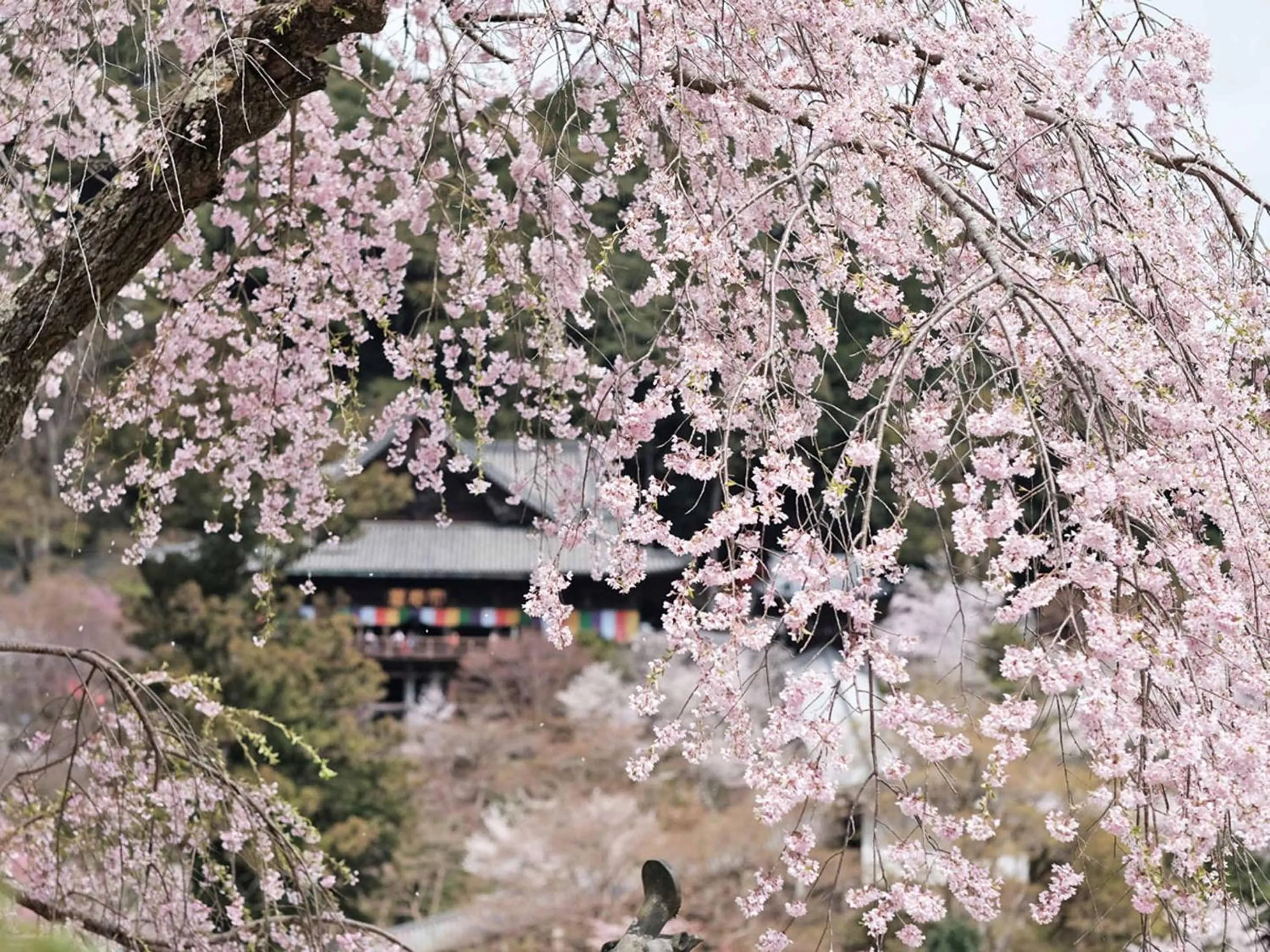 Nearby landmark in Itaniya