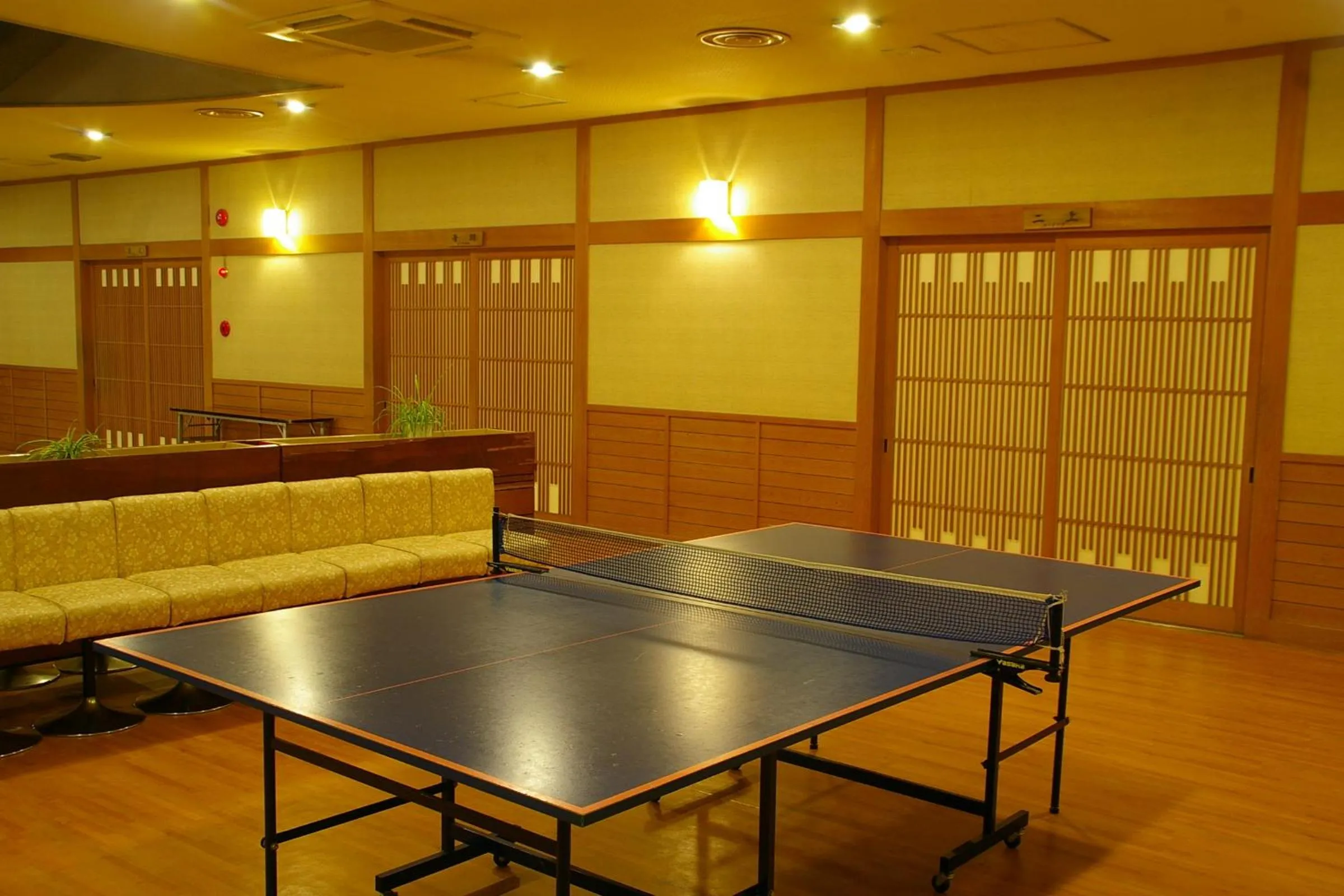Table tennis in Itaniya