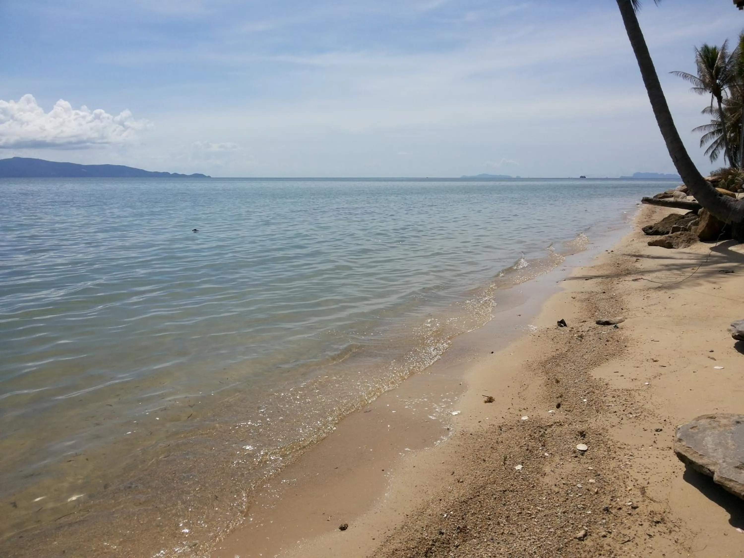 Natural landscape in ABC Bungalow