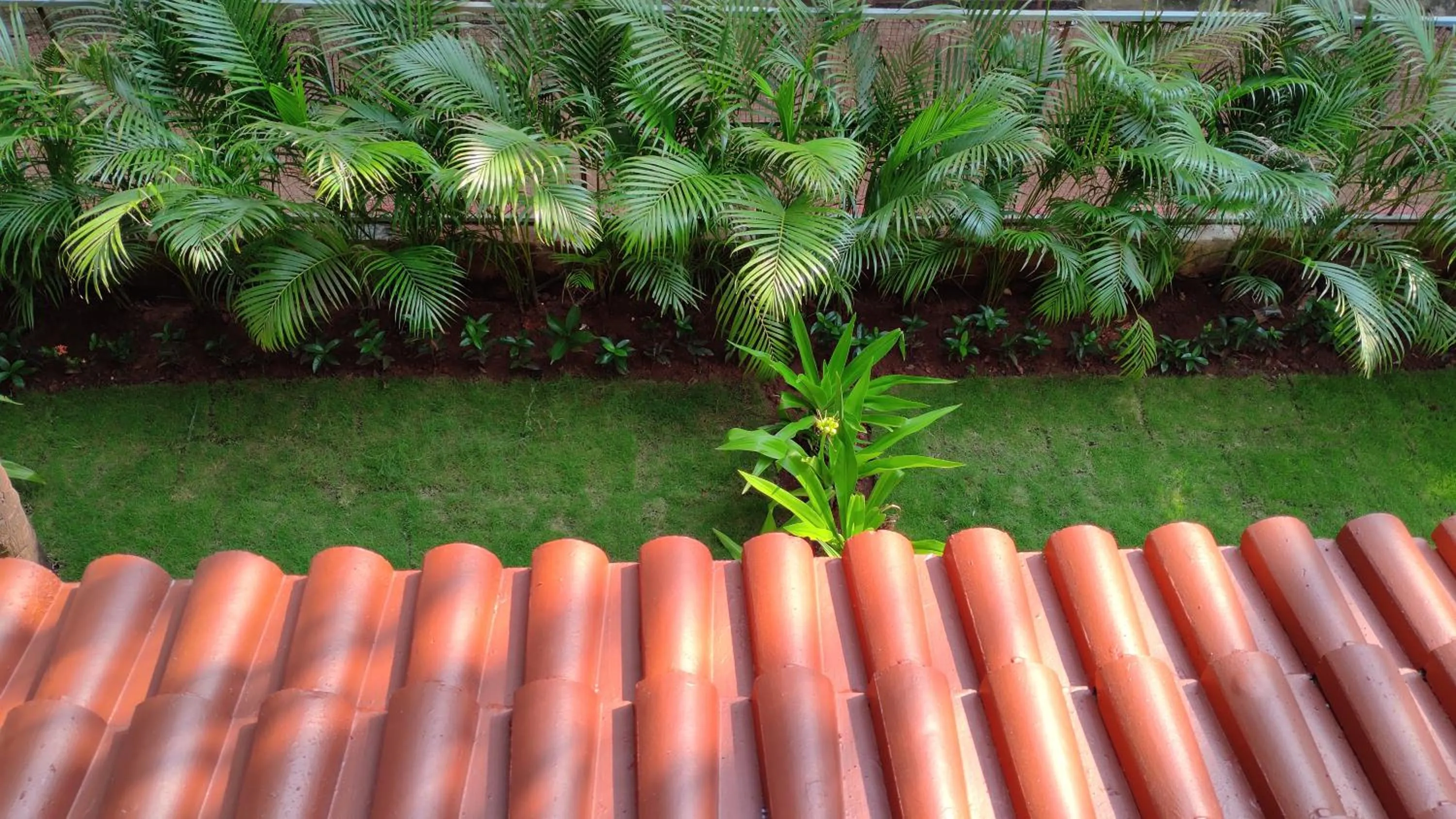 Garden view in Altrude By The Sea