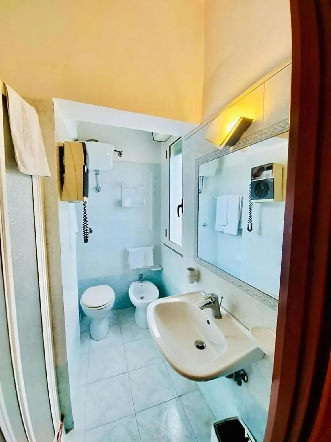 Toilet in Albergo delle Rose