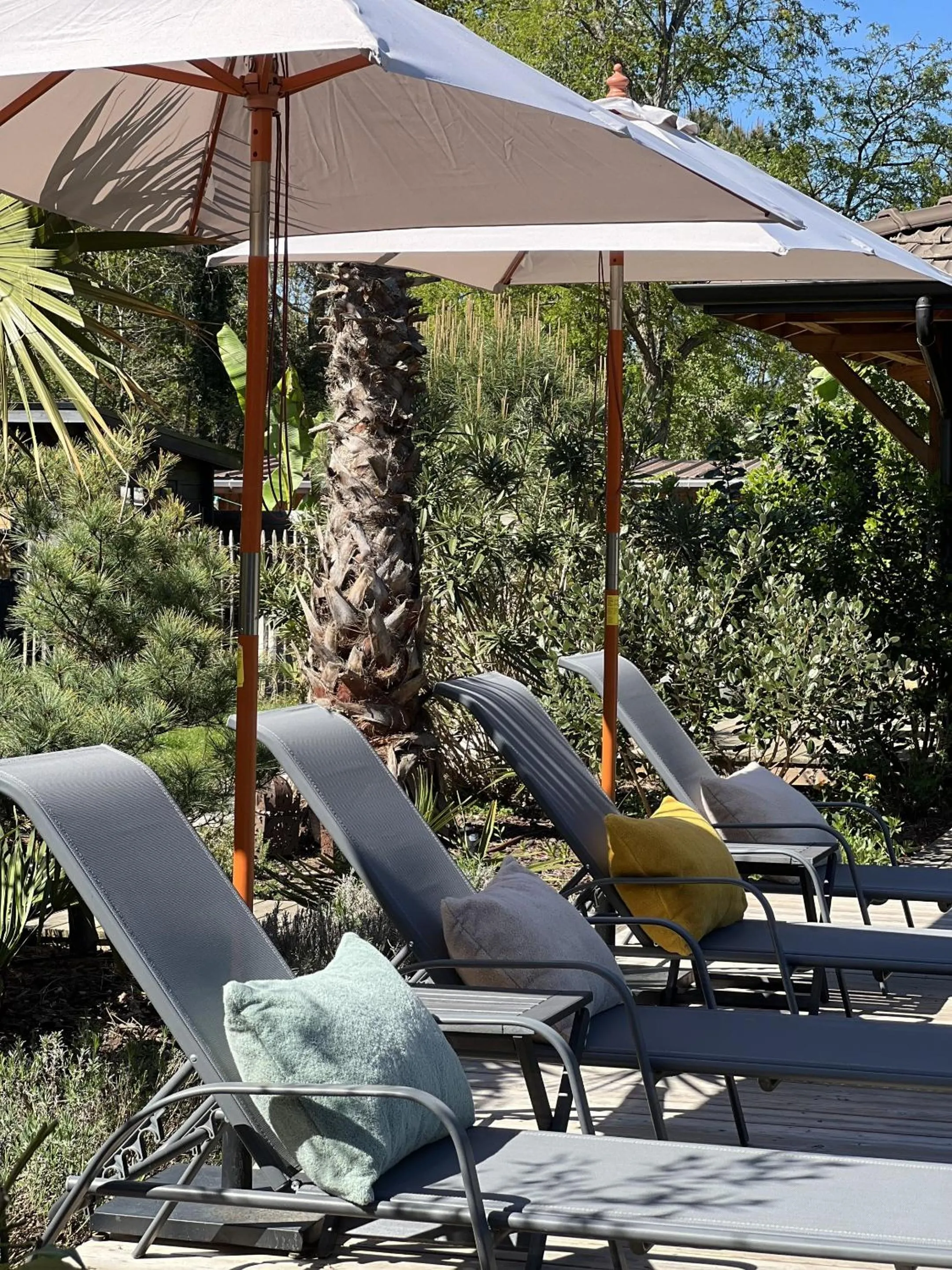 Pool view in VillaCanau