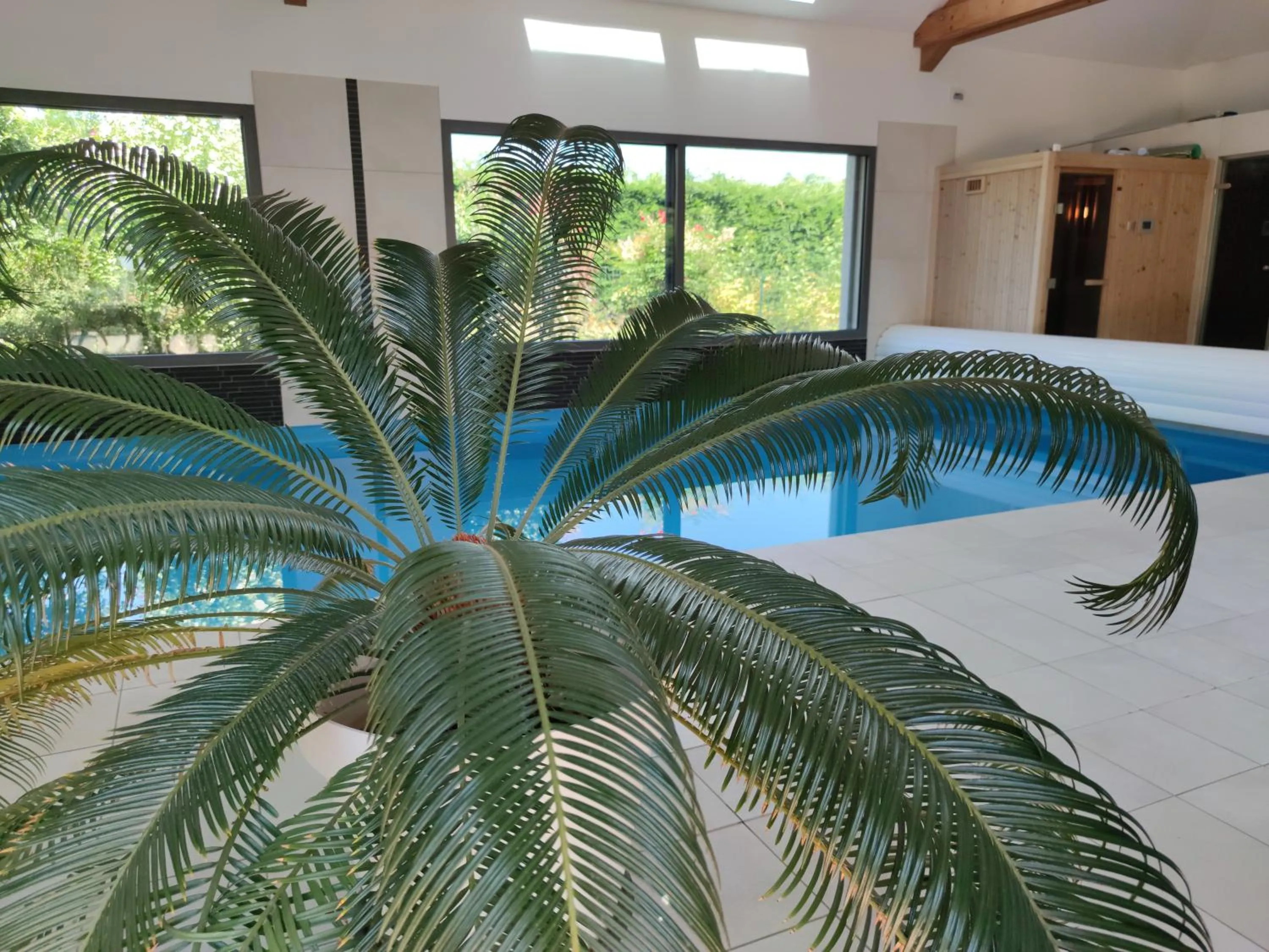 Swimming pool in Comme une évidence