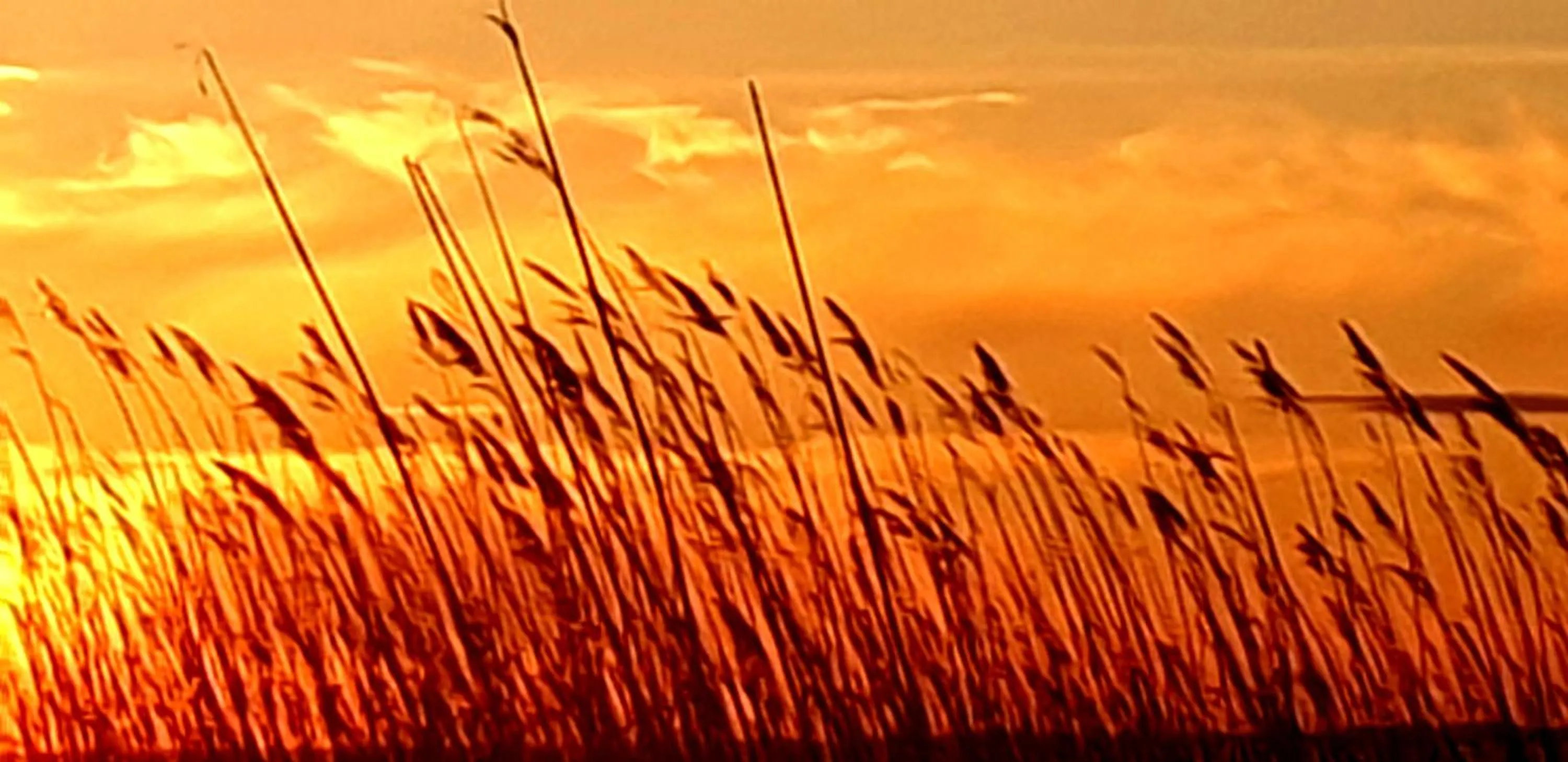 Natural landscape in Hotel Am Markt & Brauhaus Stadtkrug