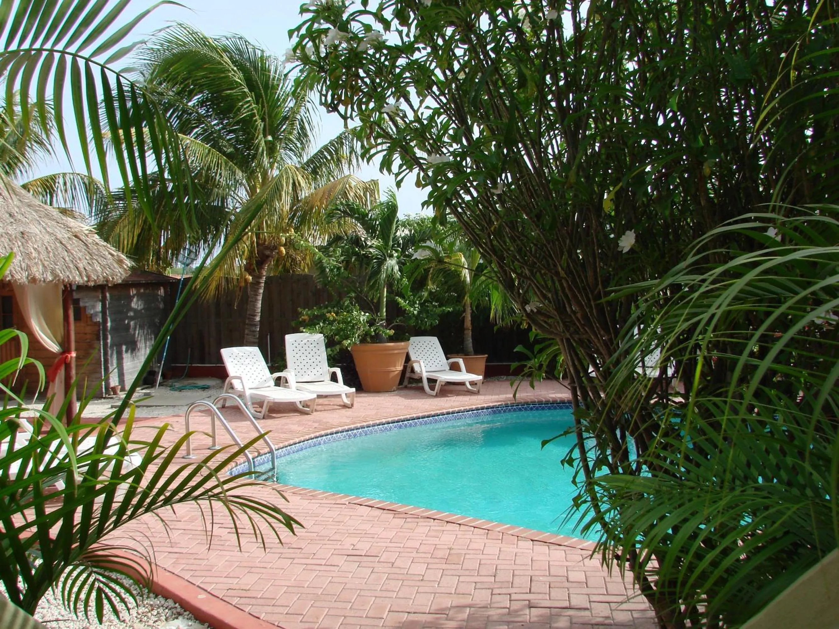 Swimming pool in Cunucu Villas - Aruba Tropical Garden Apartments