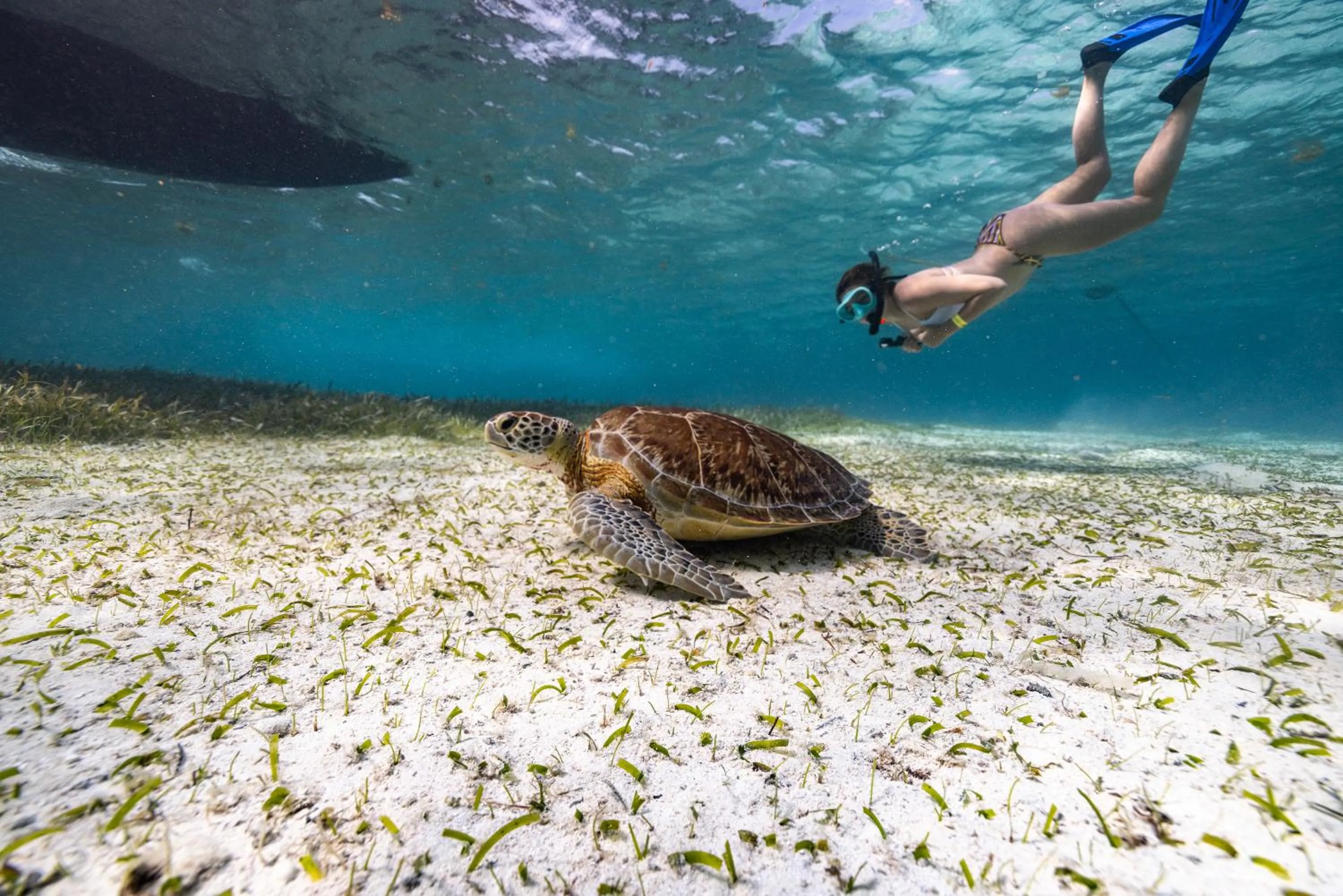 People in Ocean Tide Beach Resort