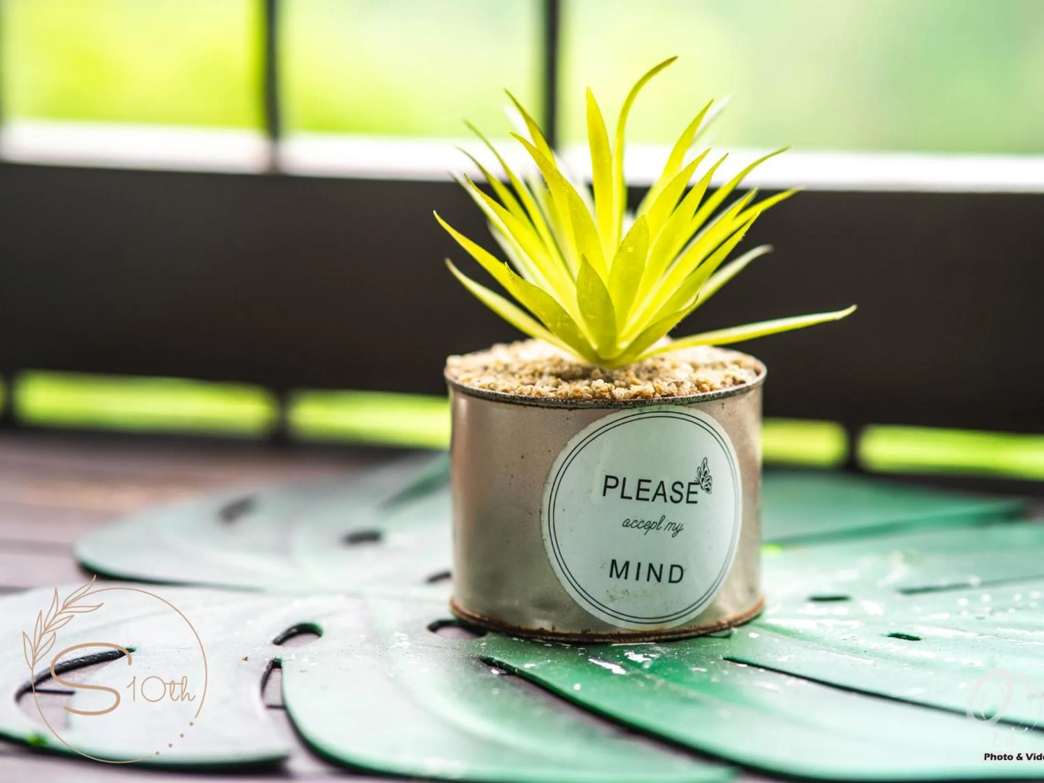 Summer10th Pinesuites Scandi Minimalist Deluxe