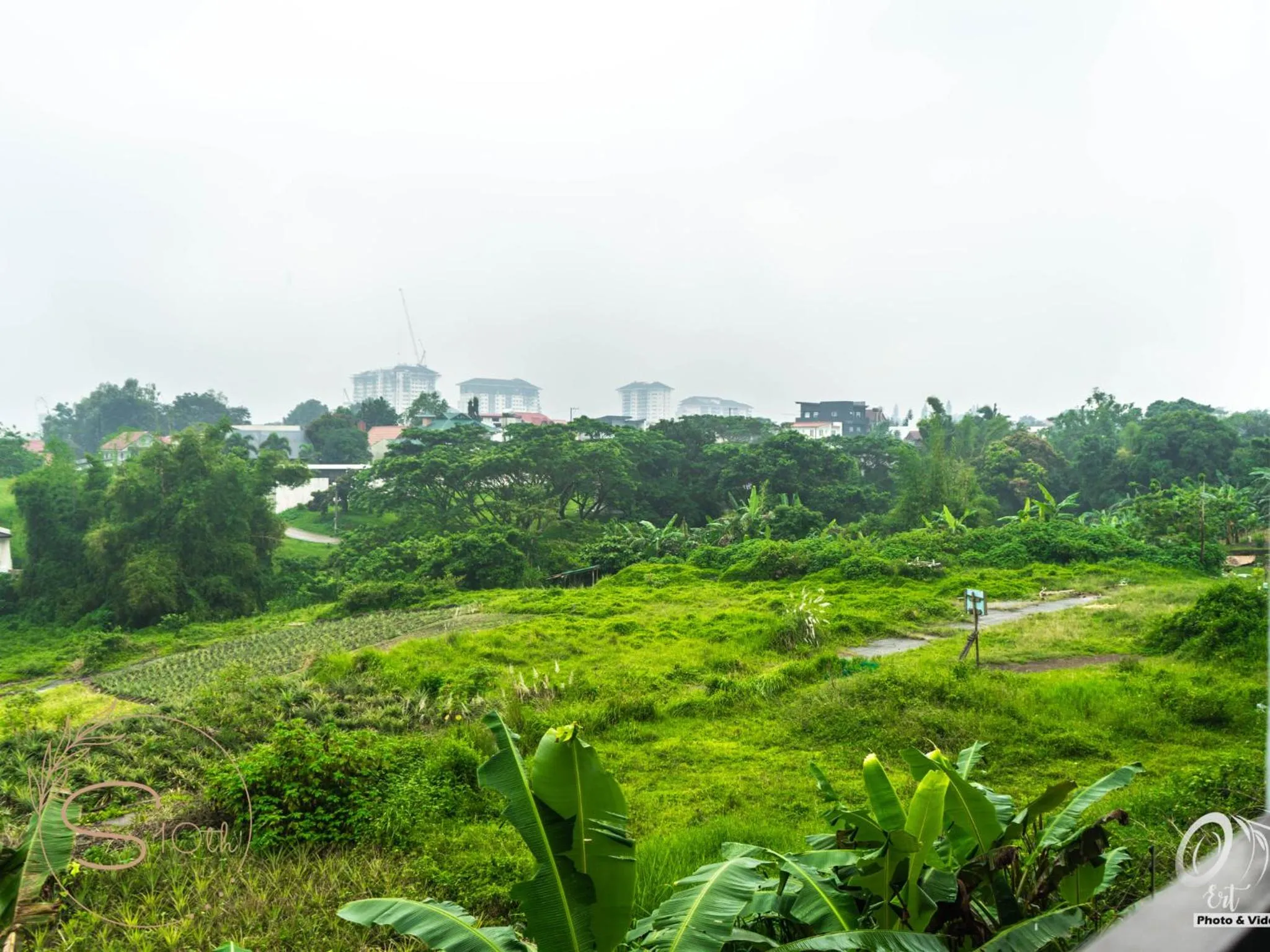 Summer10th Pinesuites Scandi Minimalist Deluxe