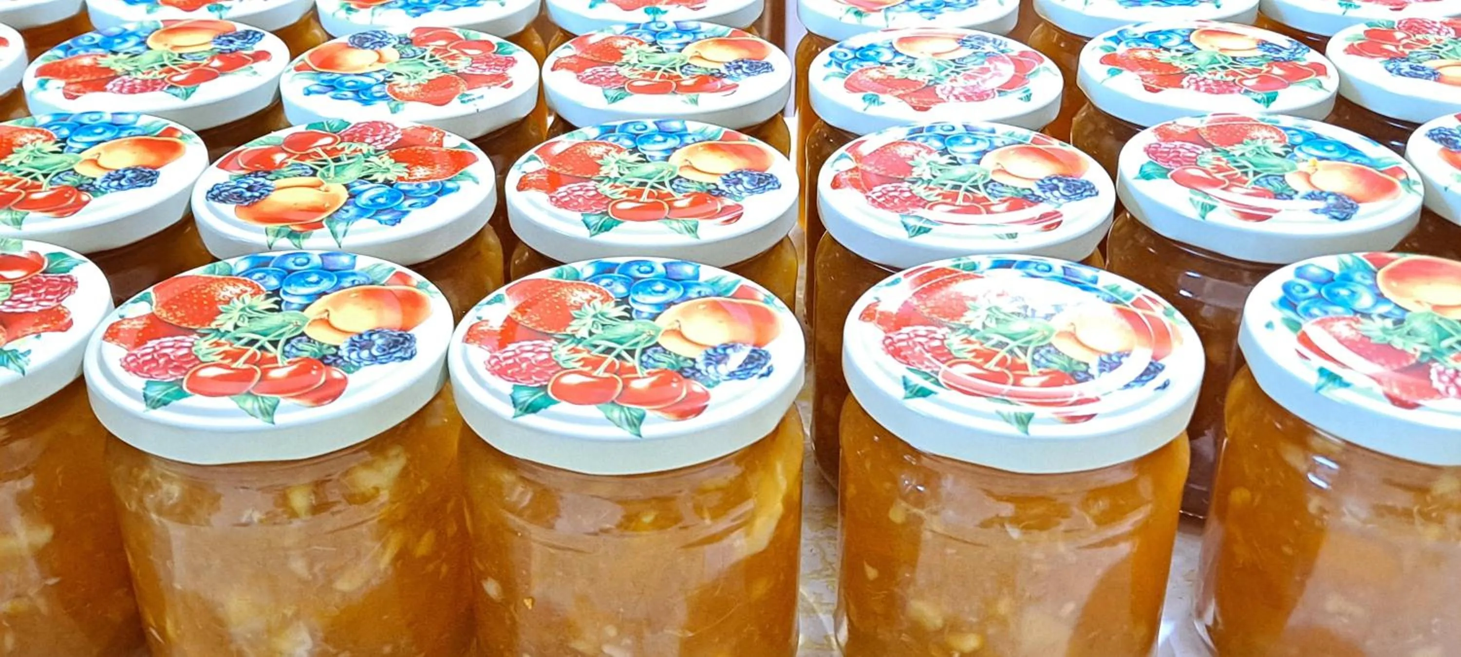 Garden in Holidays In Provence Alpes Maritimes