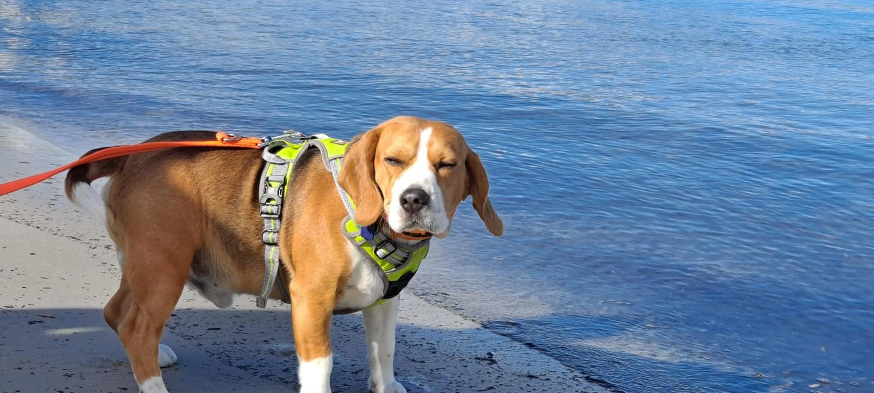 Other in Holidays In Provence Alpes Maritimes