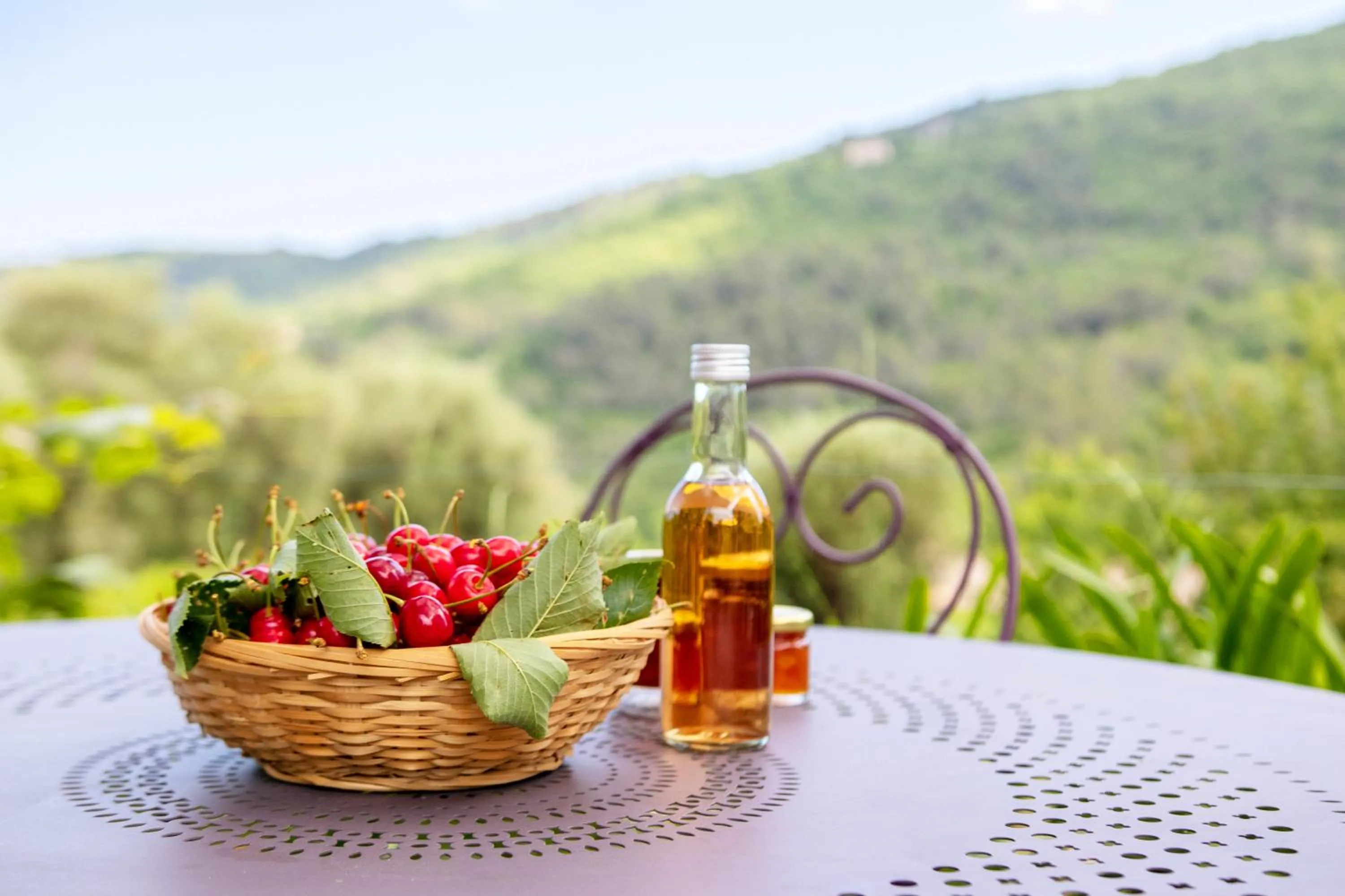 Holidays In Provence Alpes Maritimes