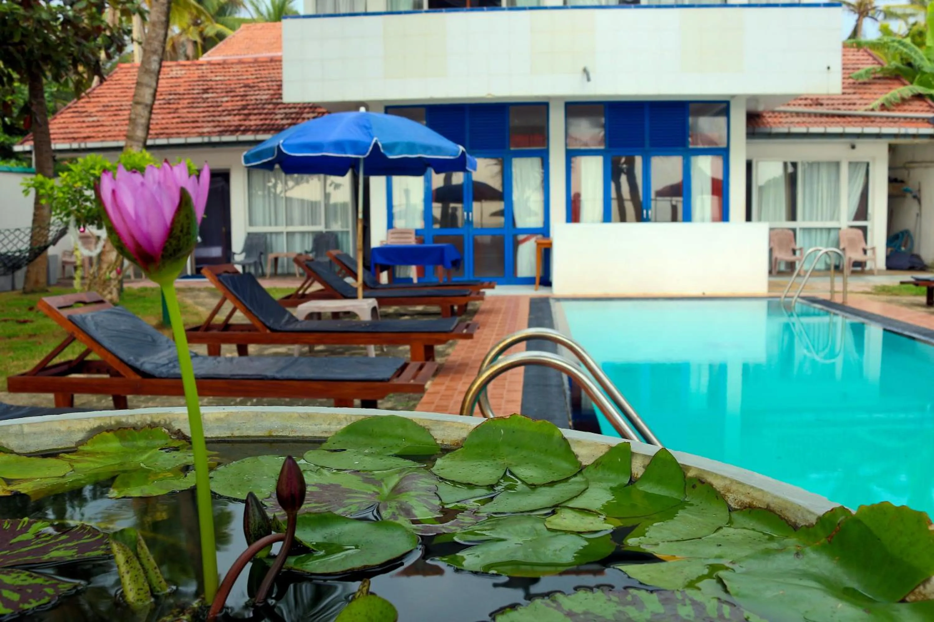 Swimming pool in Edelweiss Resort