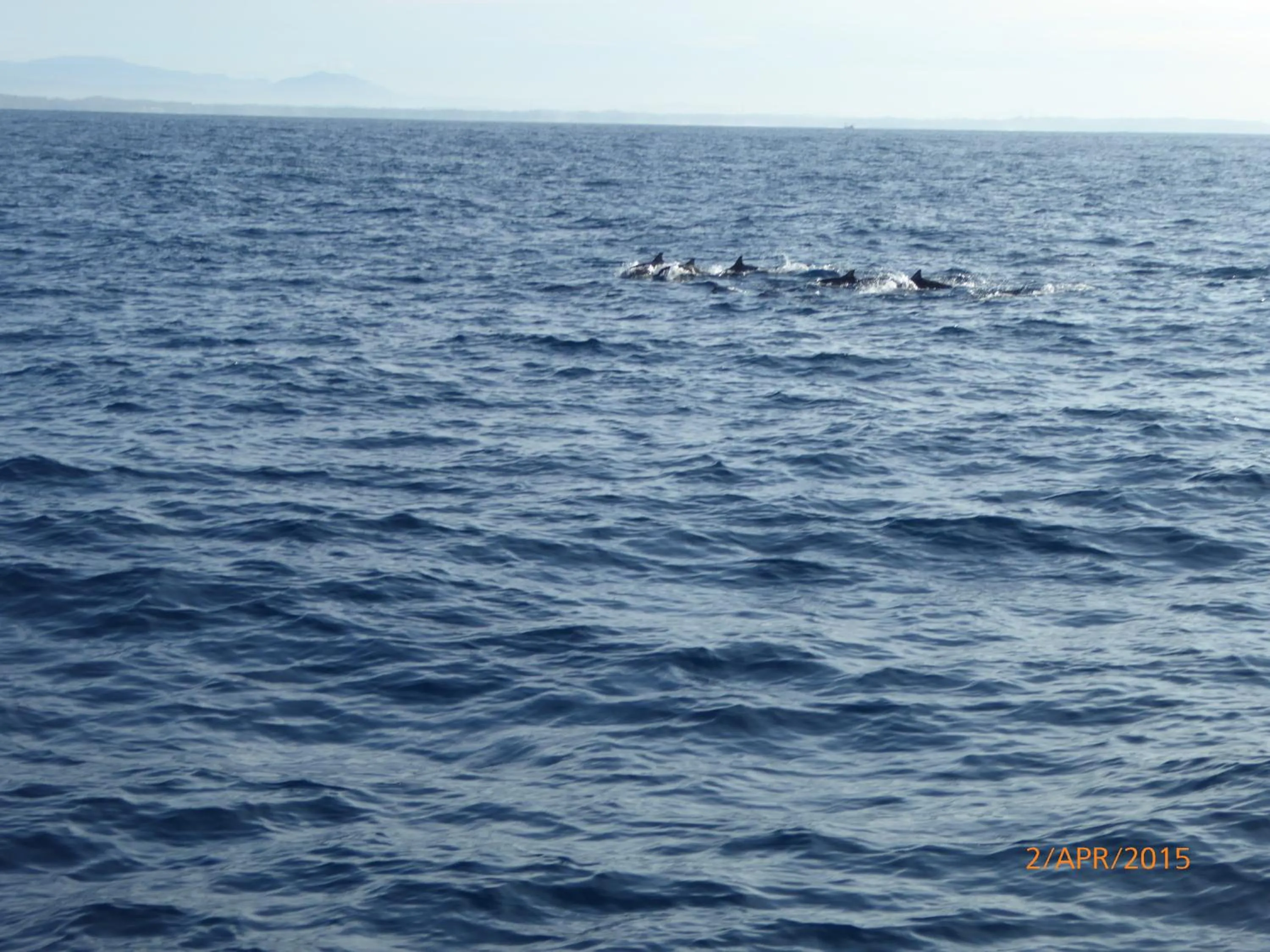 Entertainment in Paradise Beach Resort & Diving school