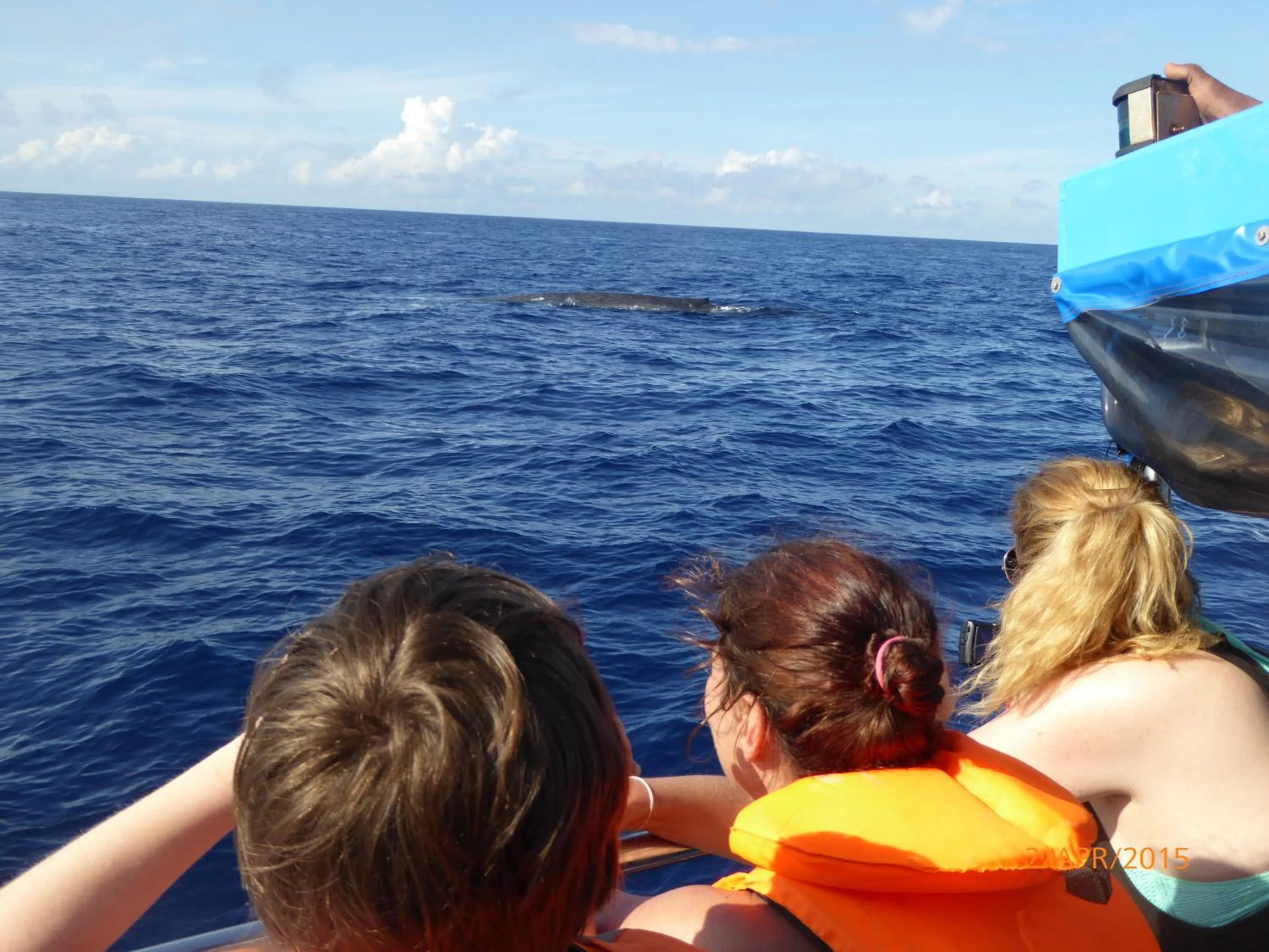 Entertainment in Paradise Beach Resort & Diving school