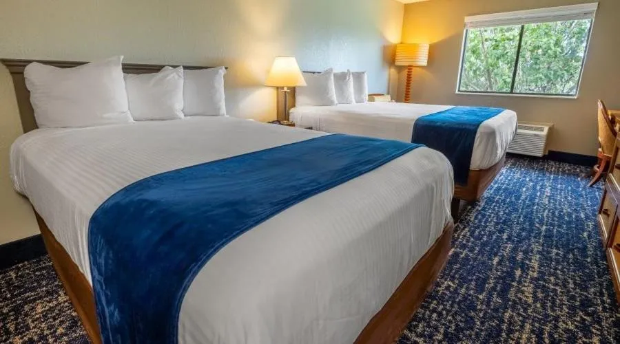 Double Room - Non-Smoking  in Bally's Vicksburg