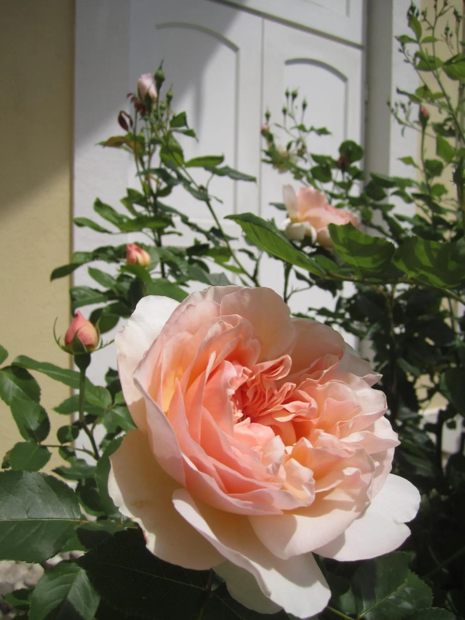 Summer in Residence Zum Theater