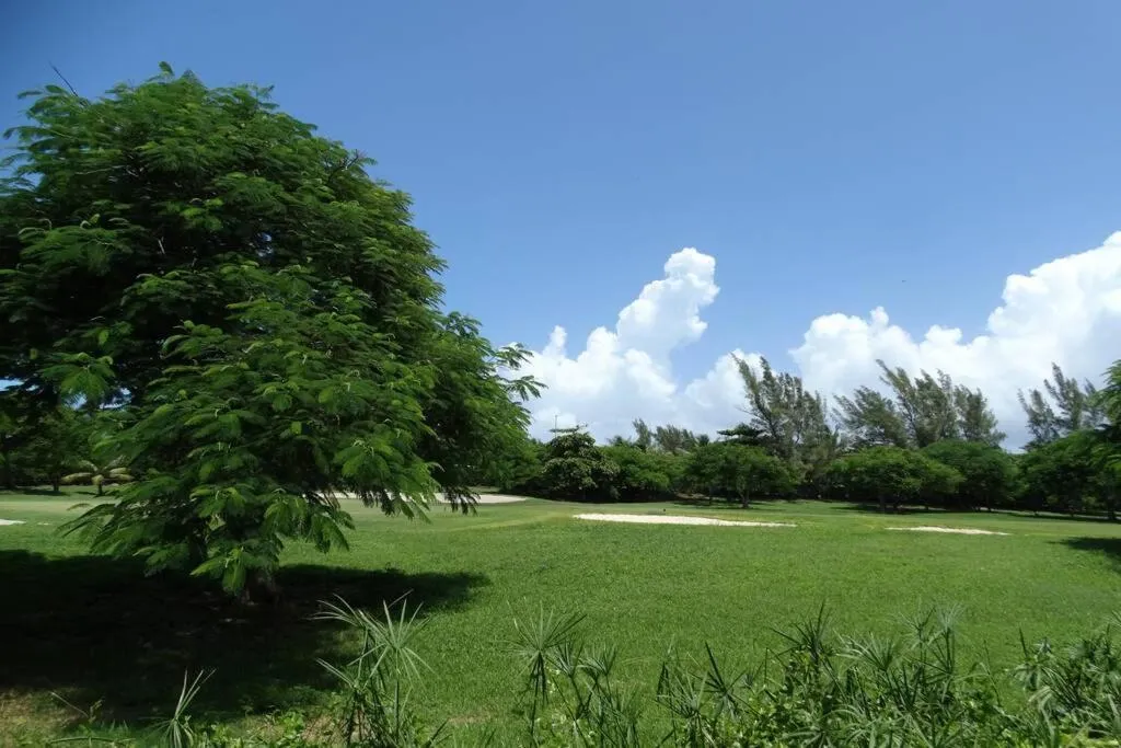 Sole & Mare by Andiani Travel