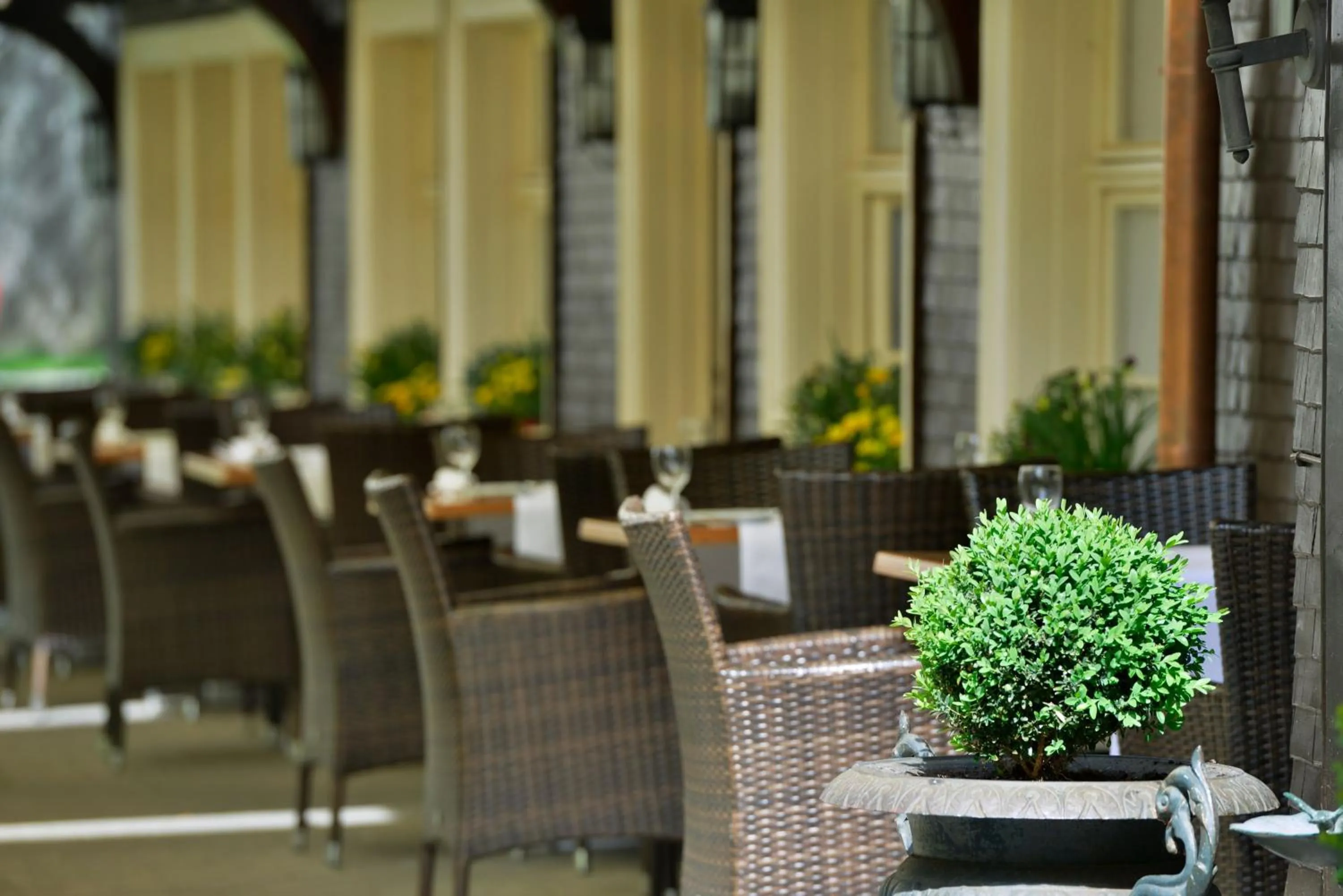 Patio in Parkhotel Adler