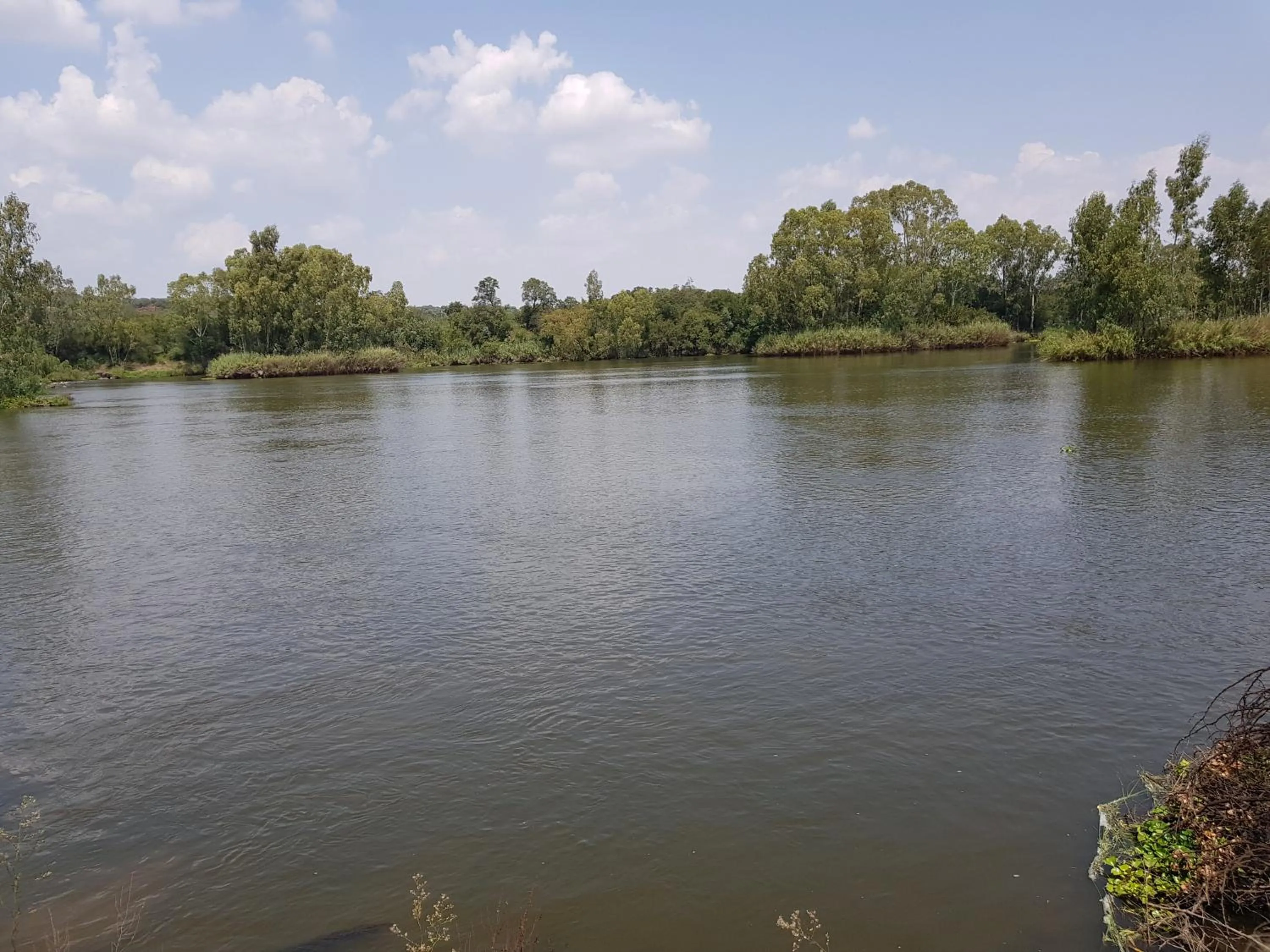 Fishing in Mountain View Country Estate