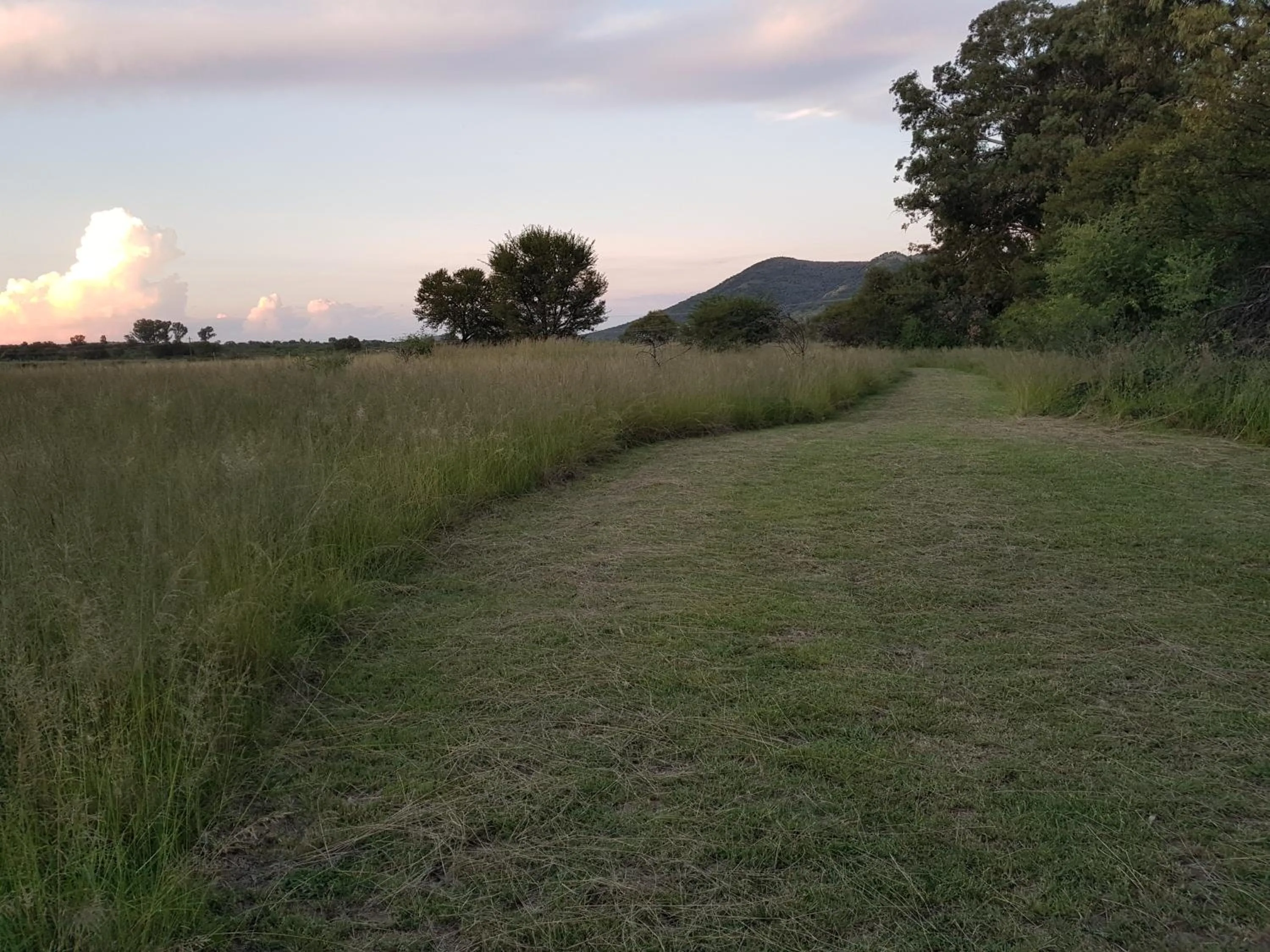 Natural landscape in Mountain View Country Estate