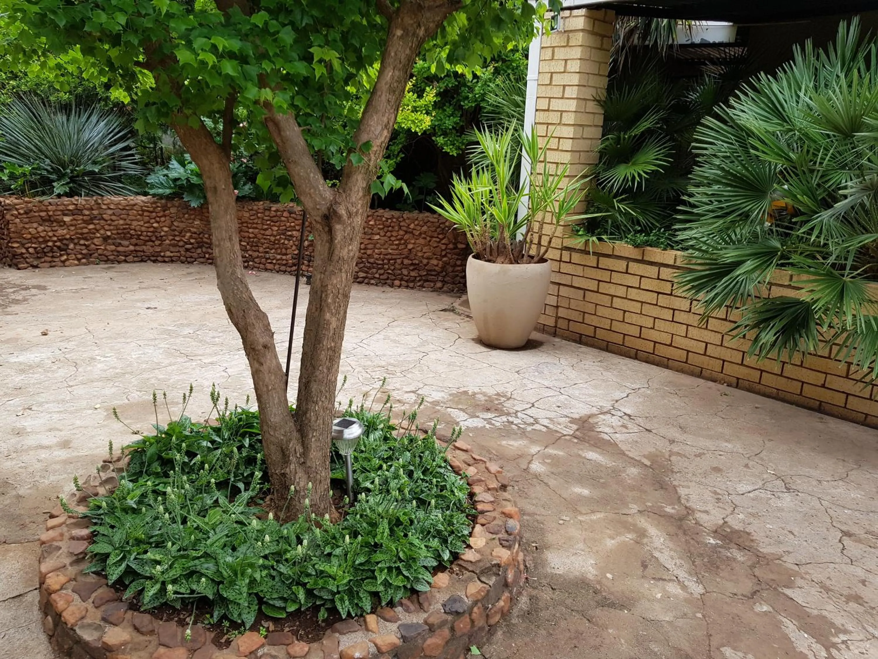 Garden in Mountain View Country Estate