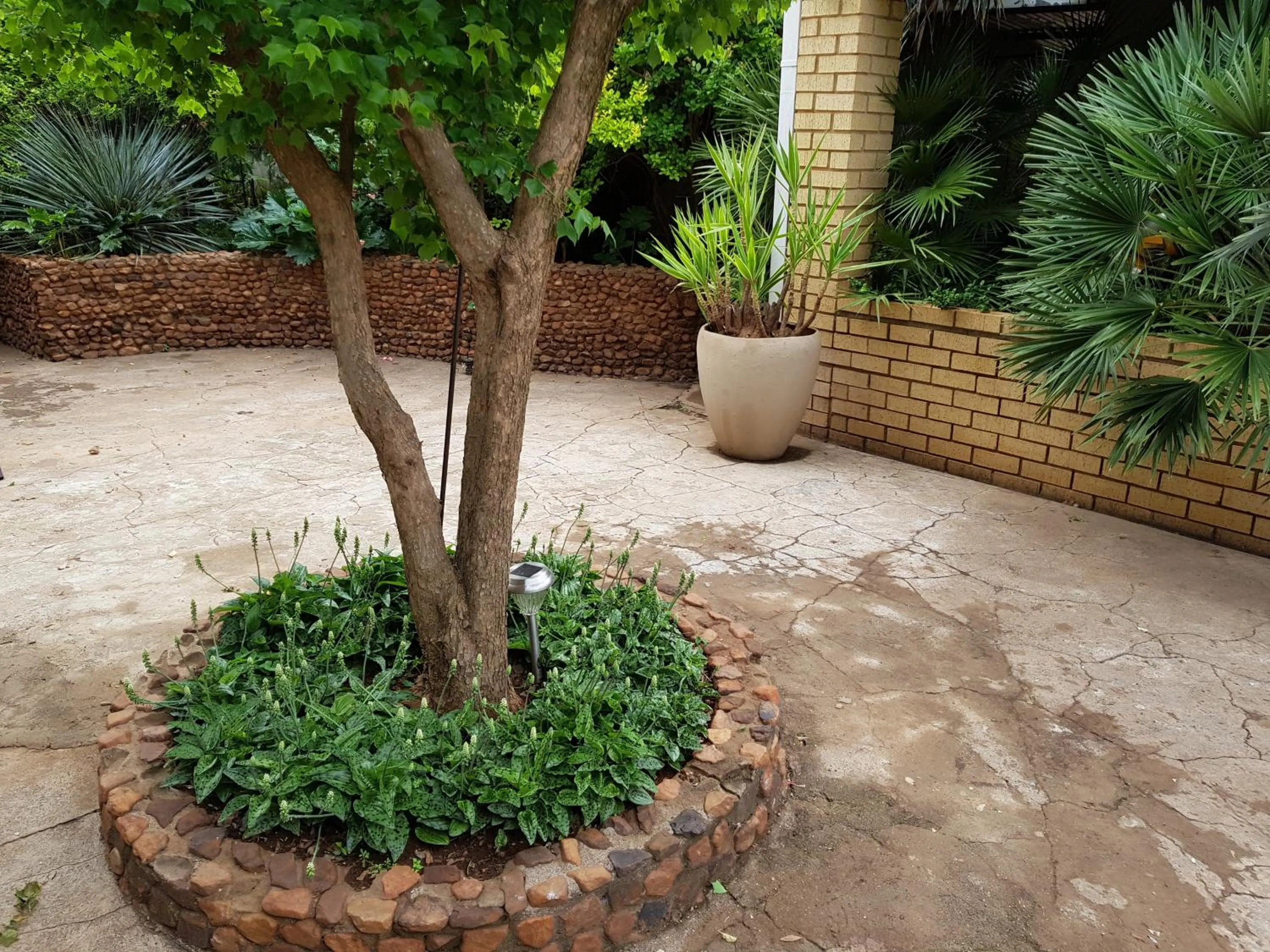 Garden in Mountain View Country Estate