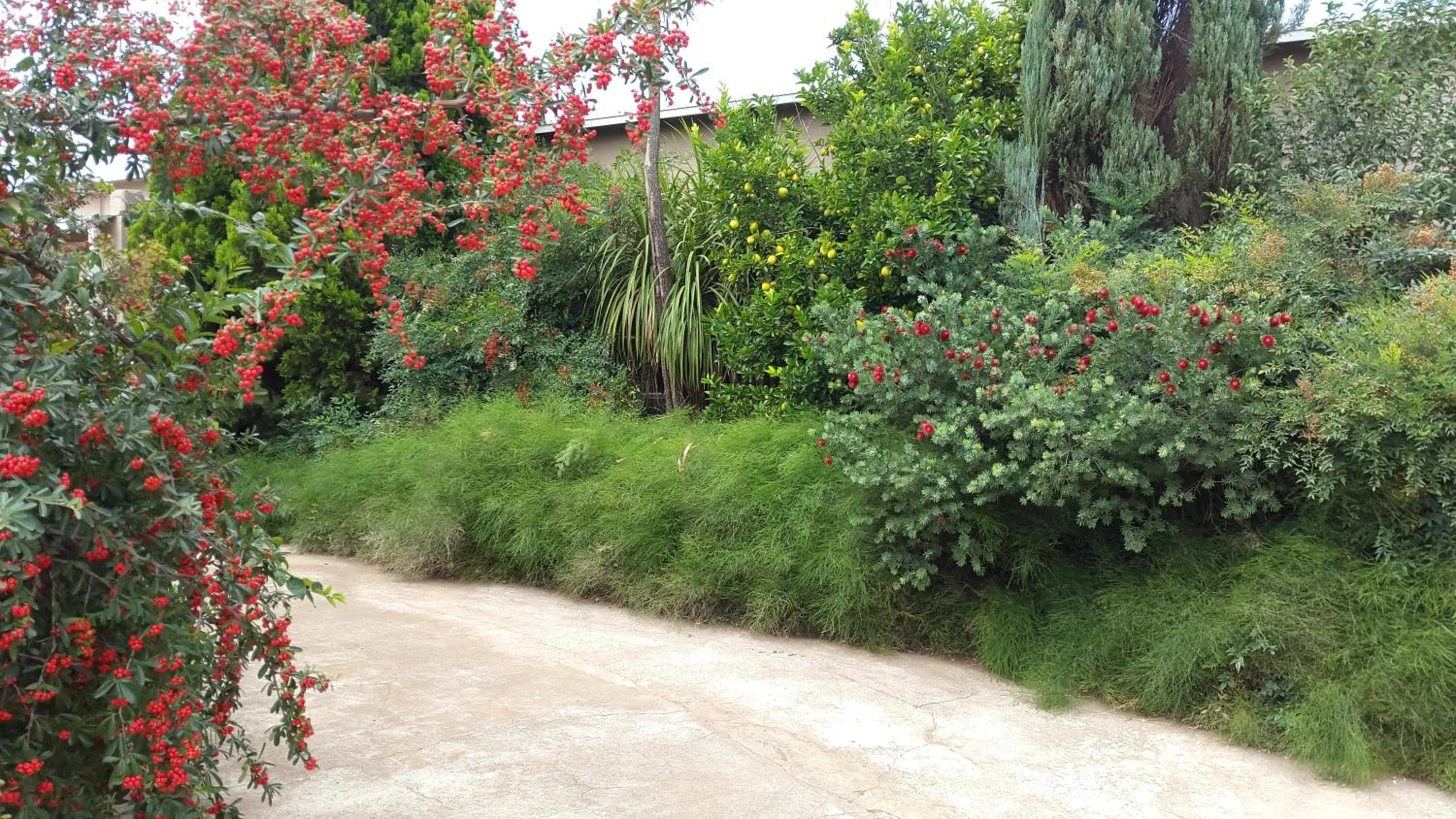 Garden in Mountain View Country Estate