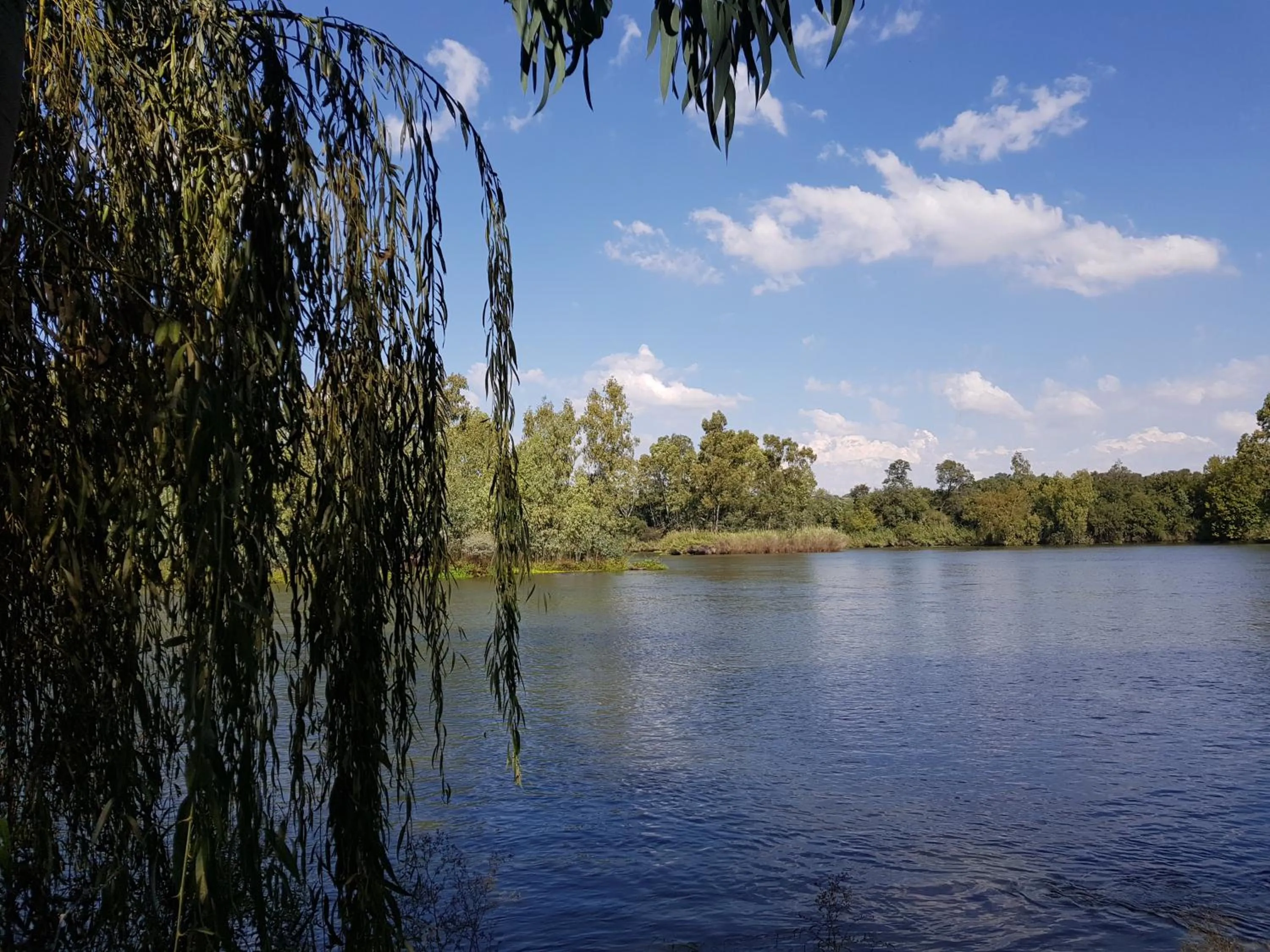 Fishing in Mountain View Country Estate