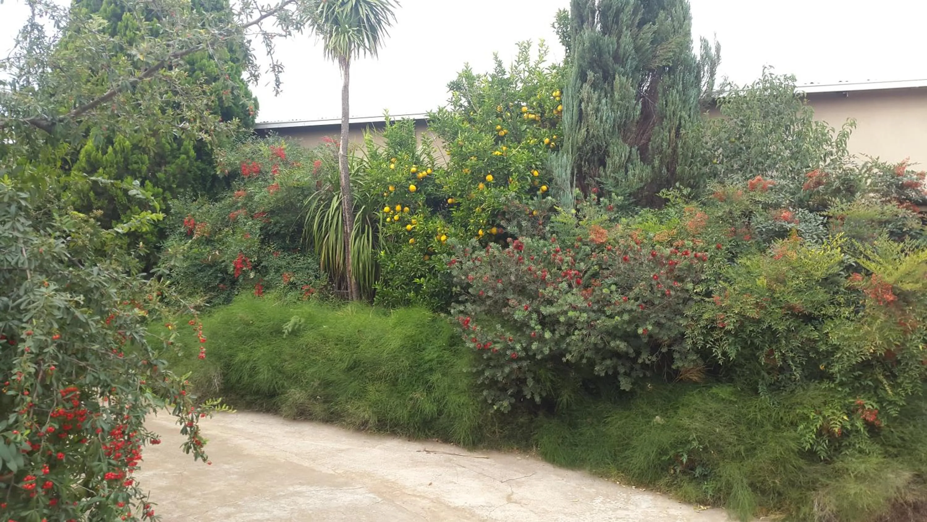 Garden in Mountain View Country Estate