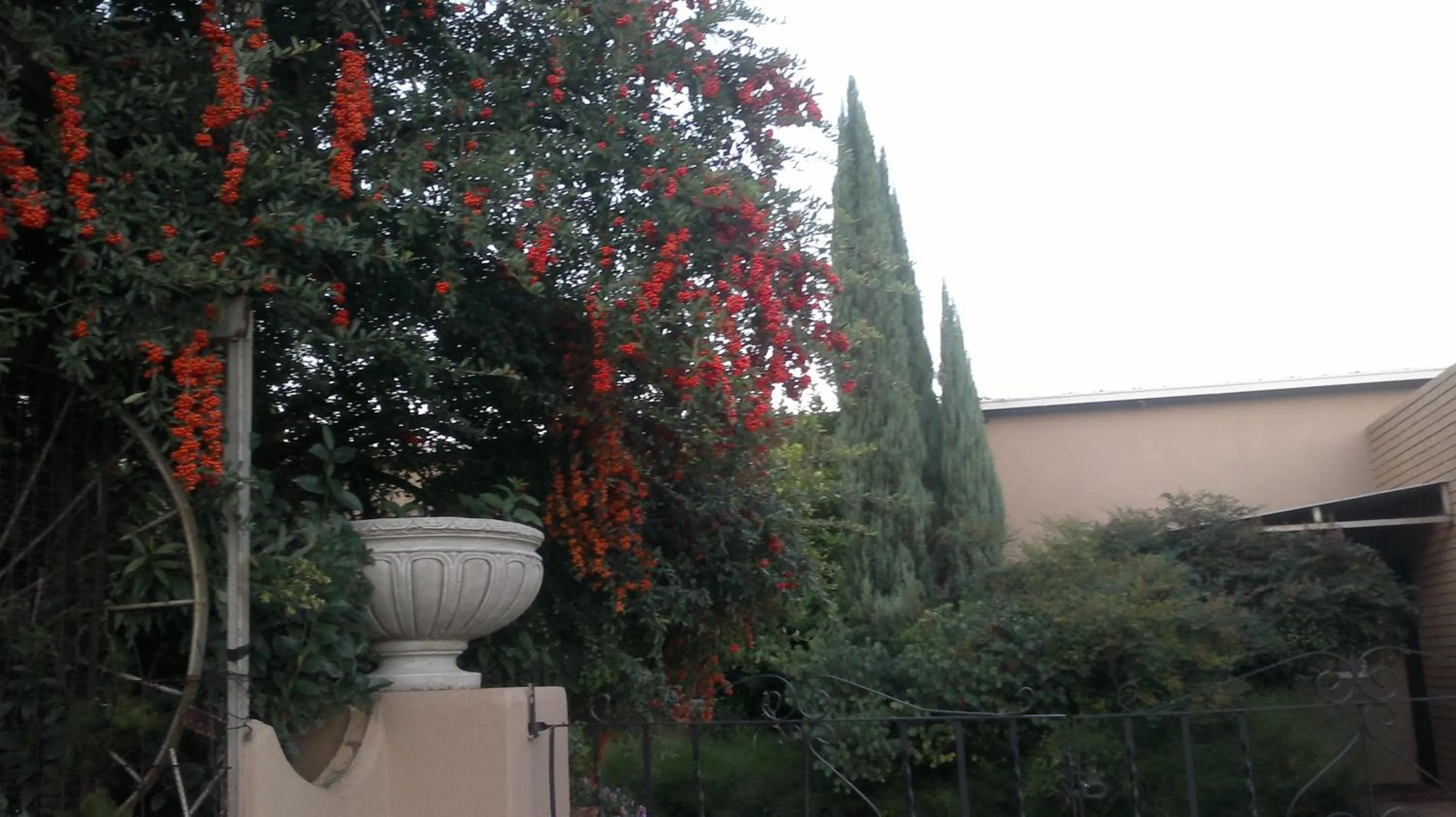 Garden in Mountain View Country Estate