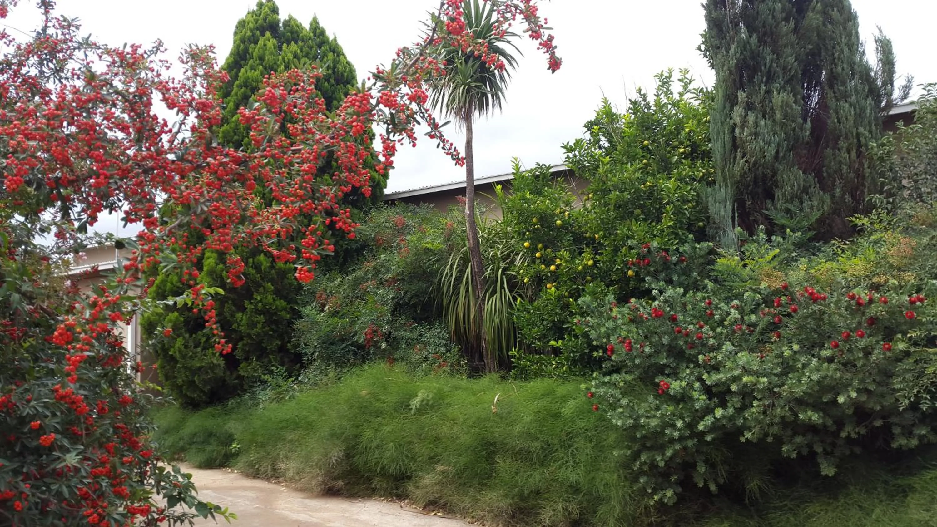 Garden in Mountain View Country Estate