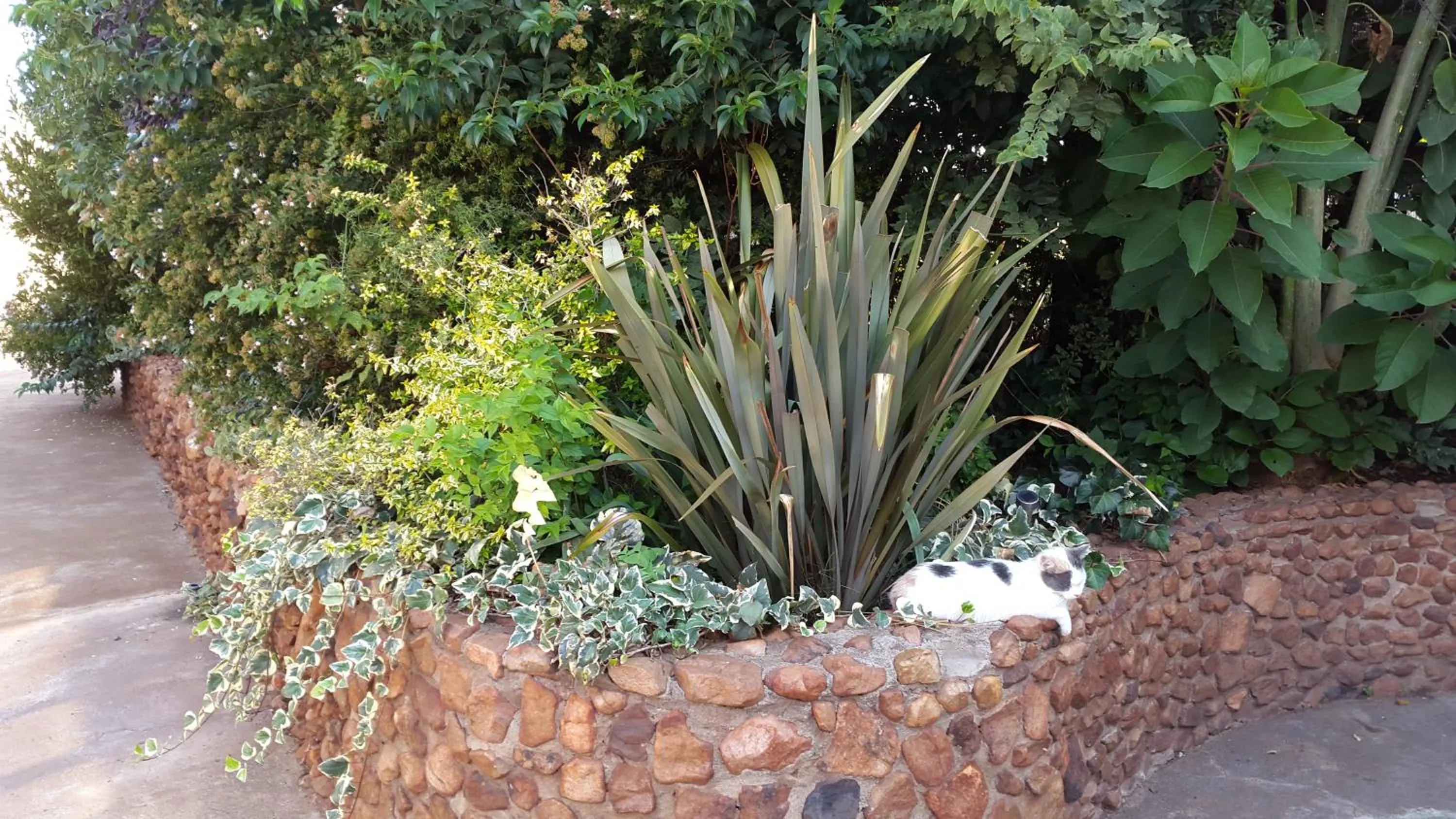 Garden in Mountain View Country Estate