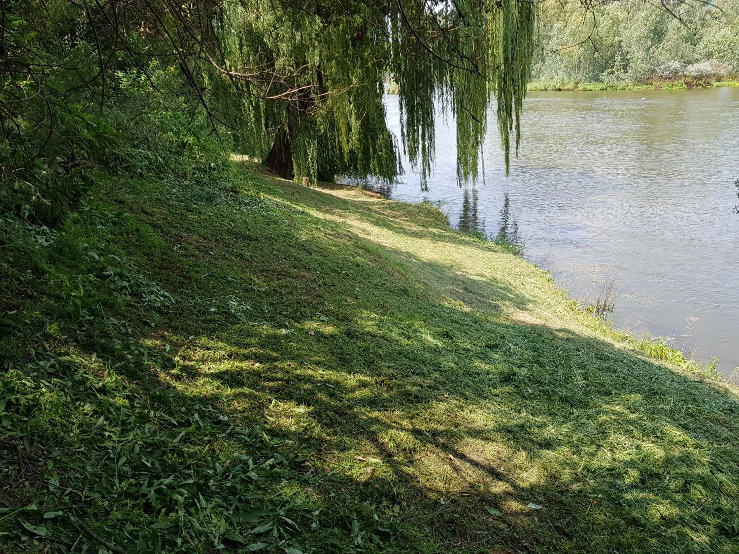 Fishing in Mountain View Country Estate