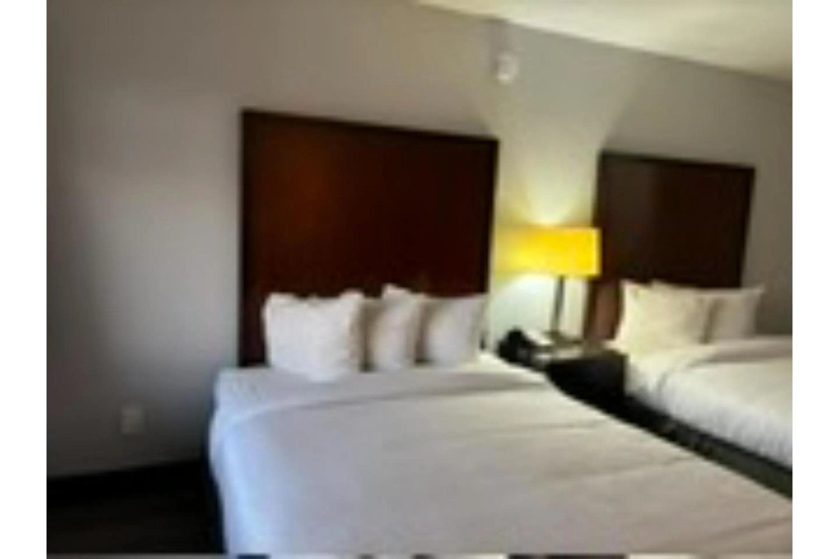 Bedroom, Bed in Motel 6 Mesa, AZ - Downtown