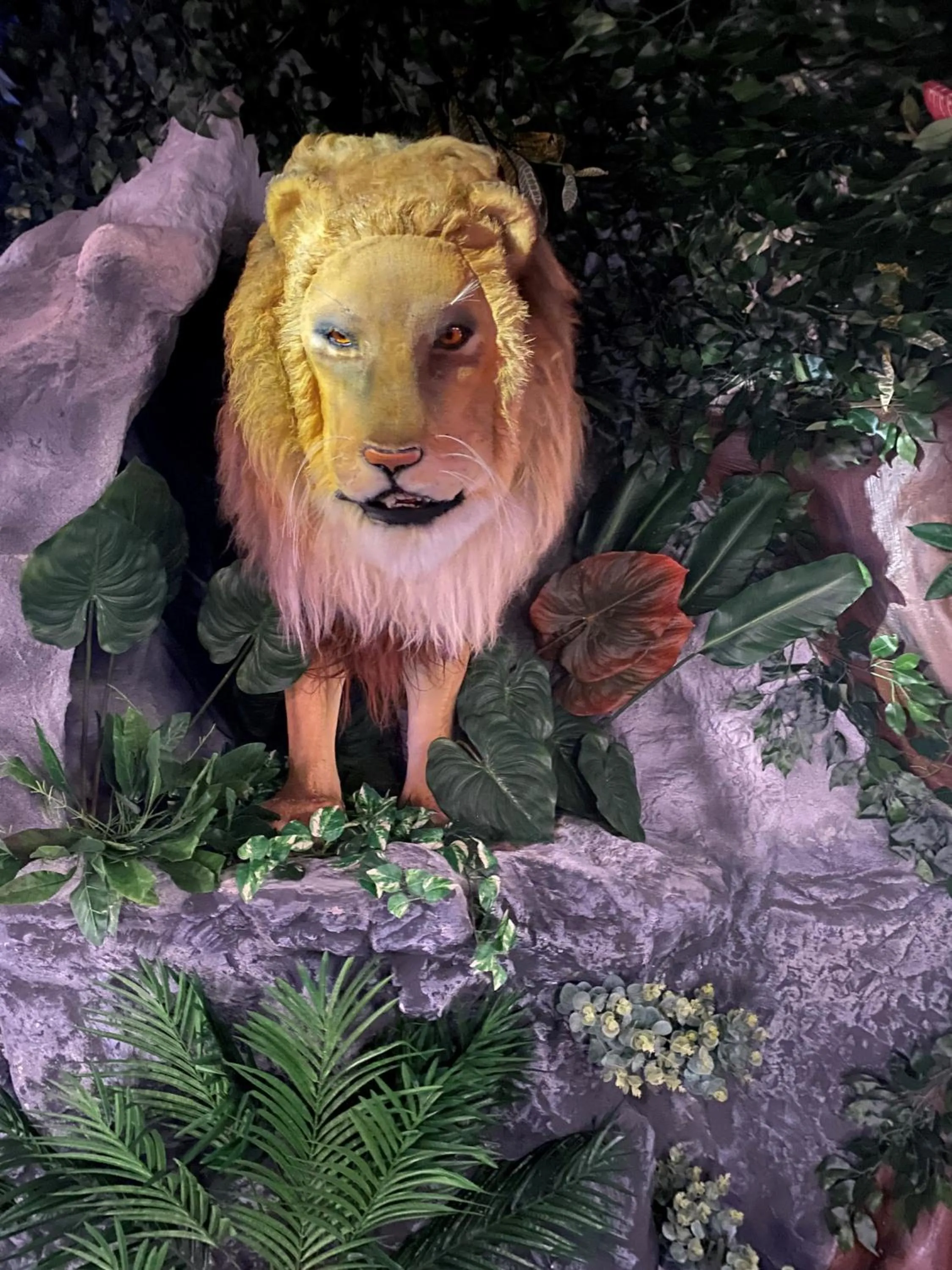 Restaurant/places to eat in Bayside