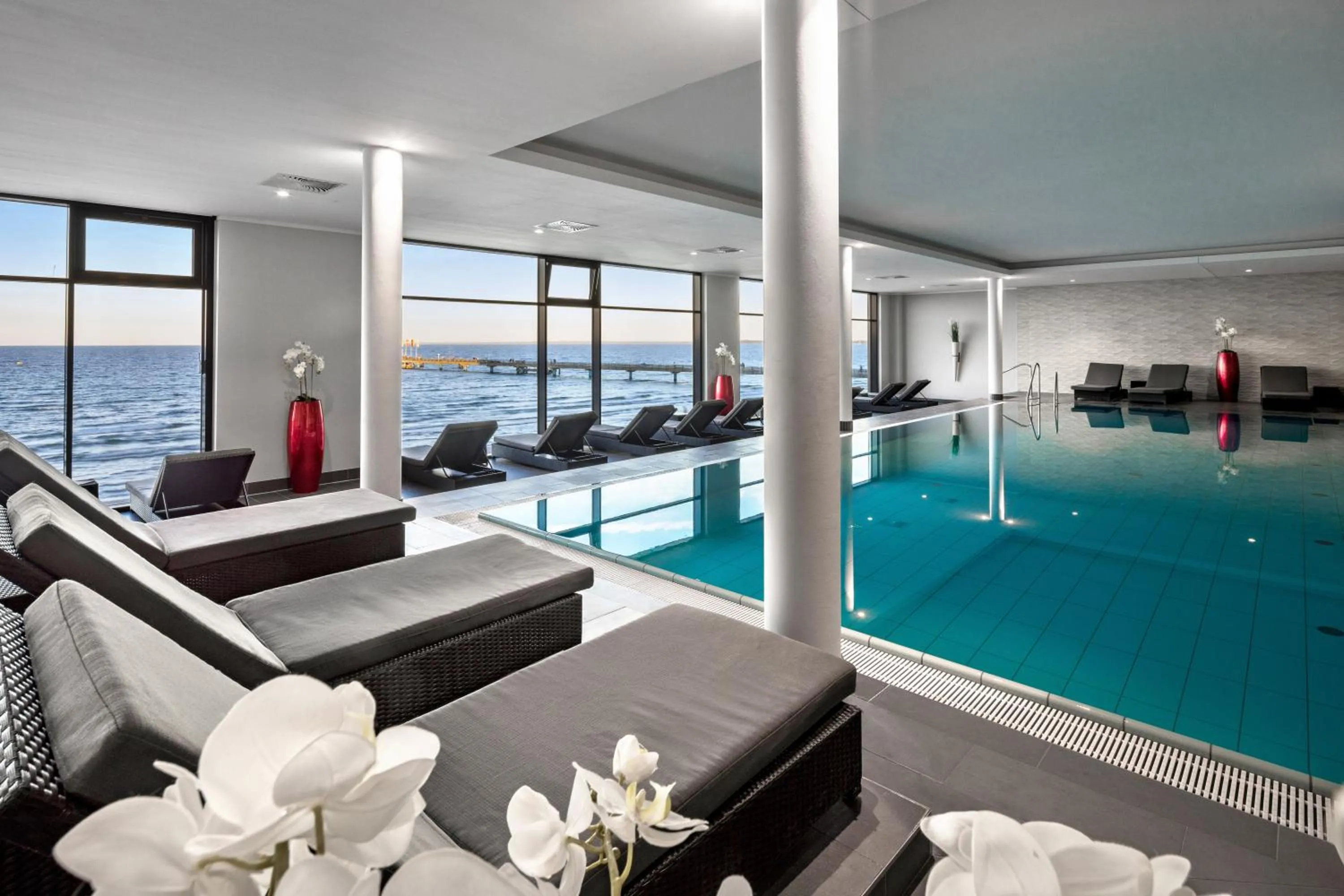 Swimming pool in Bayside