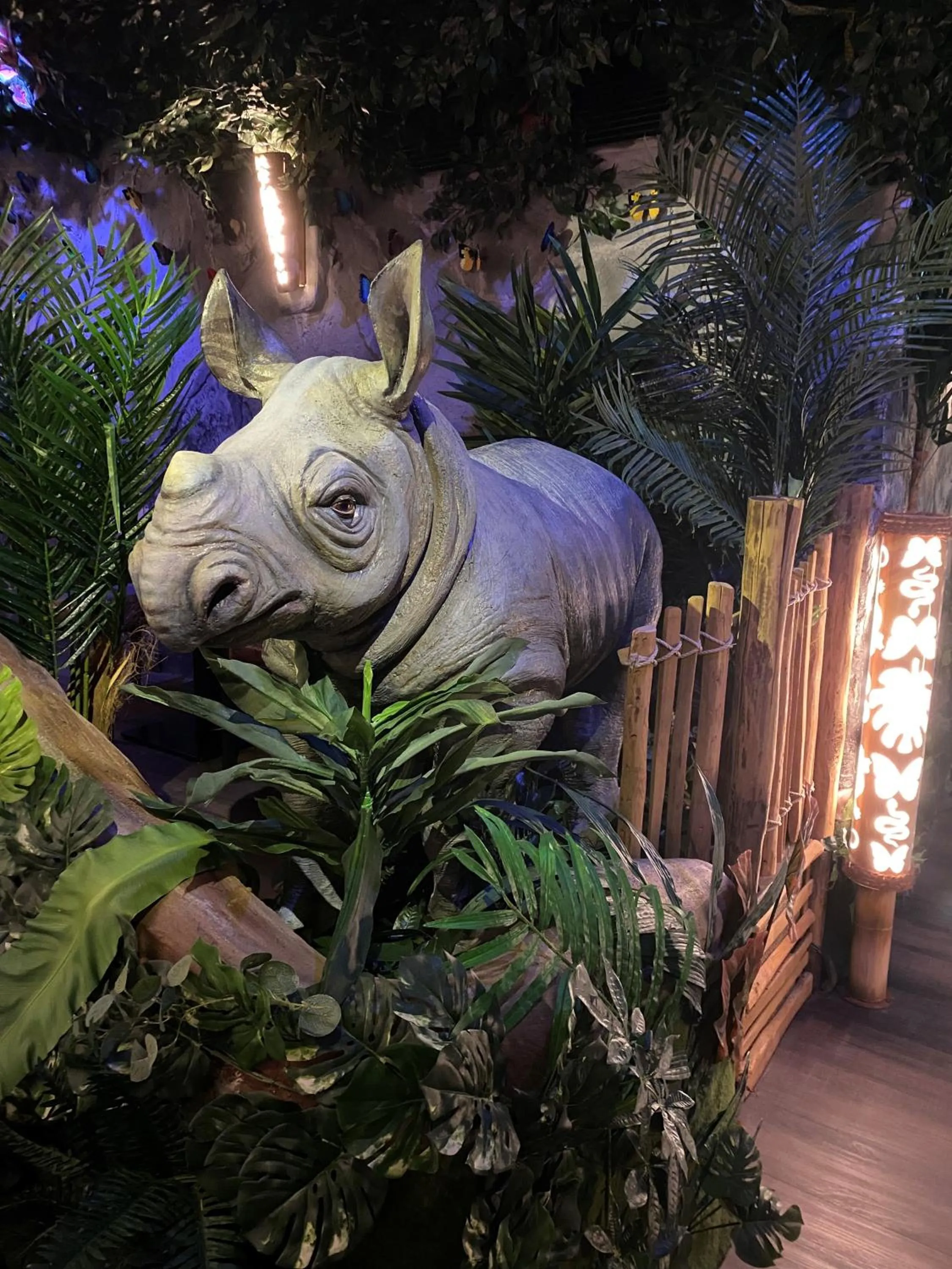 Restaurant/places to eat in Bayside