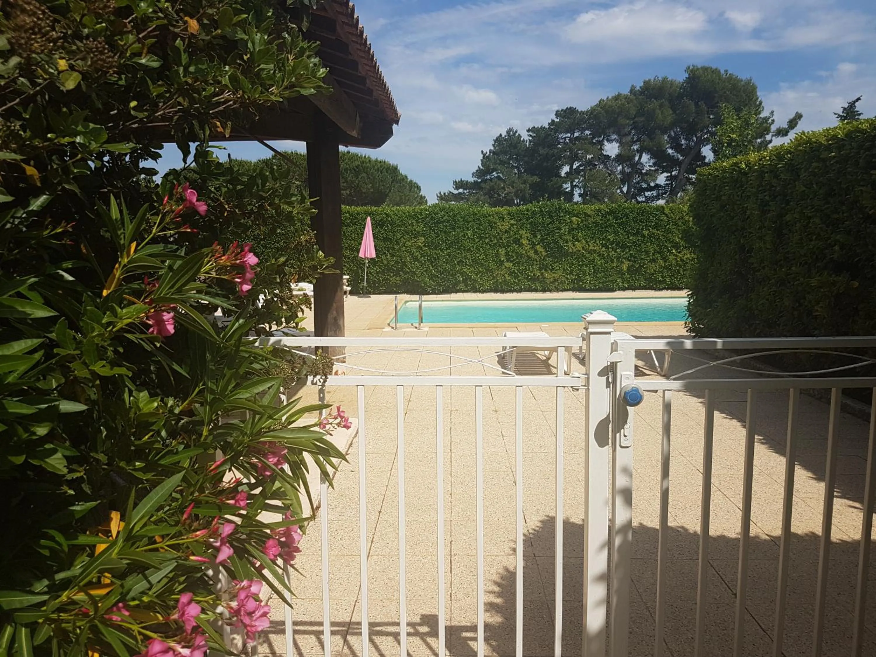 Swimming pool in Hôtel Restaurant Le Mas De L'Olivier