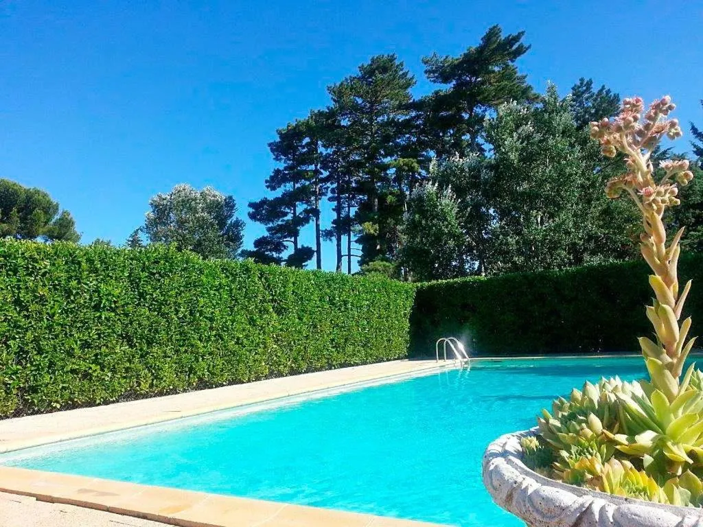 Swimming pool in Hôtel Restaurant Le Mas De L'Olivier