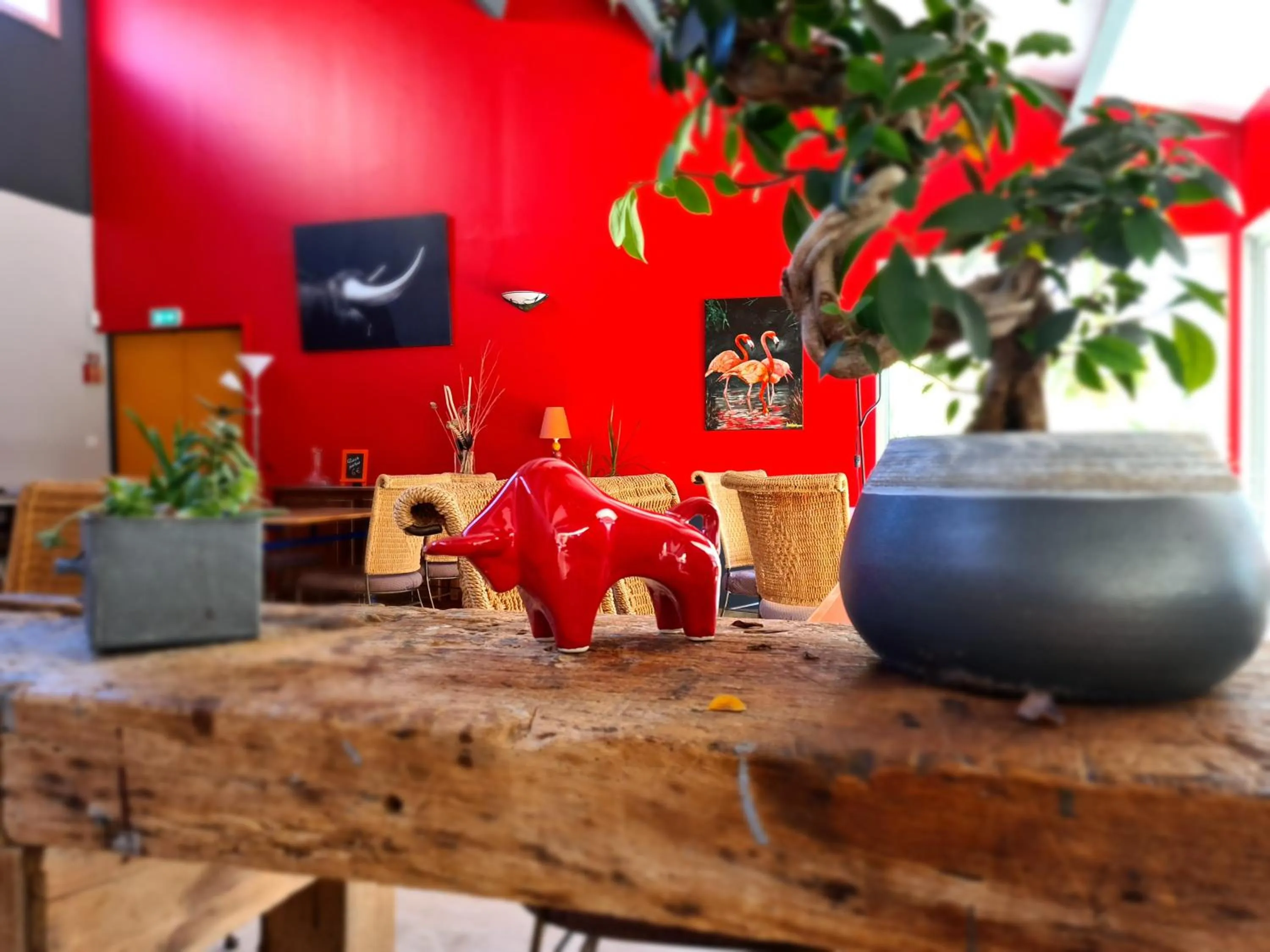 Restaurant/places to eat in Hôtel Restaurant Le Mas De L'Olivier