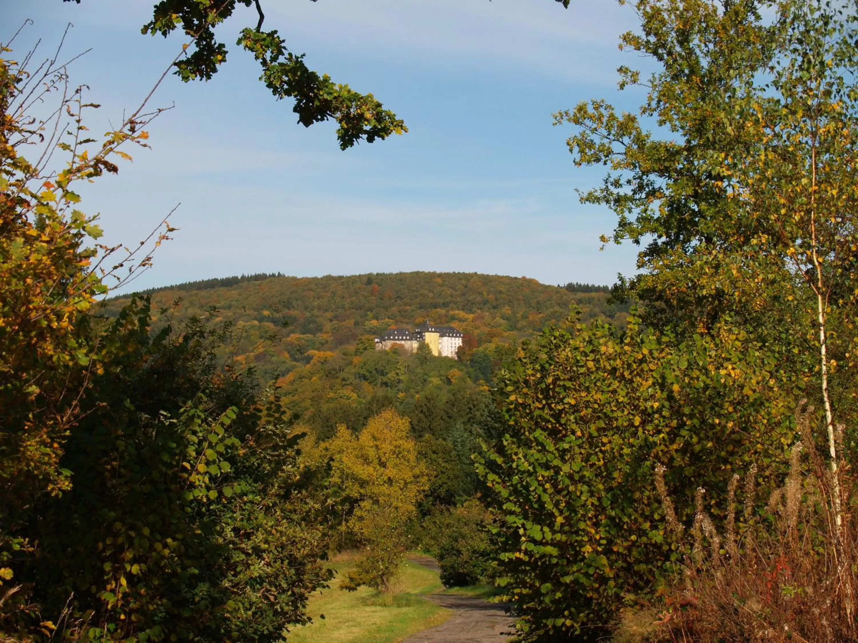 Natural landscape in Hotel Zum weißen Stein