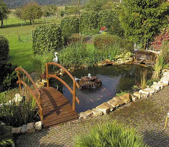 Area and facilities in Hotel Zum weißen Stein