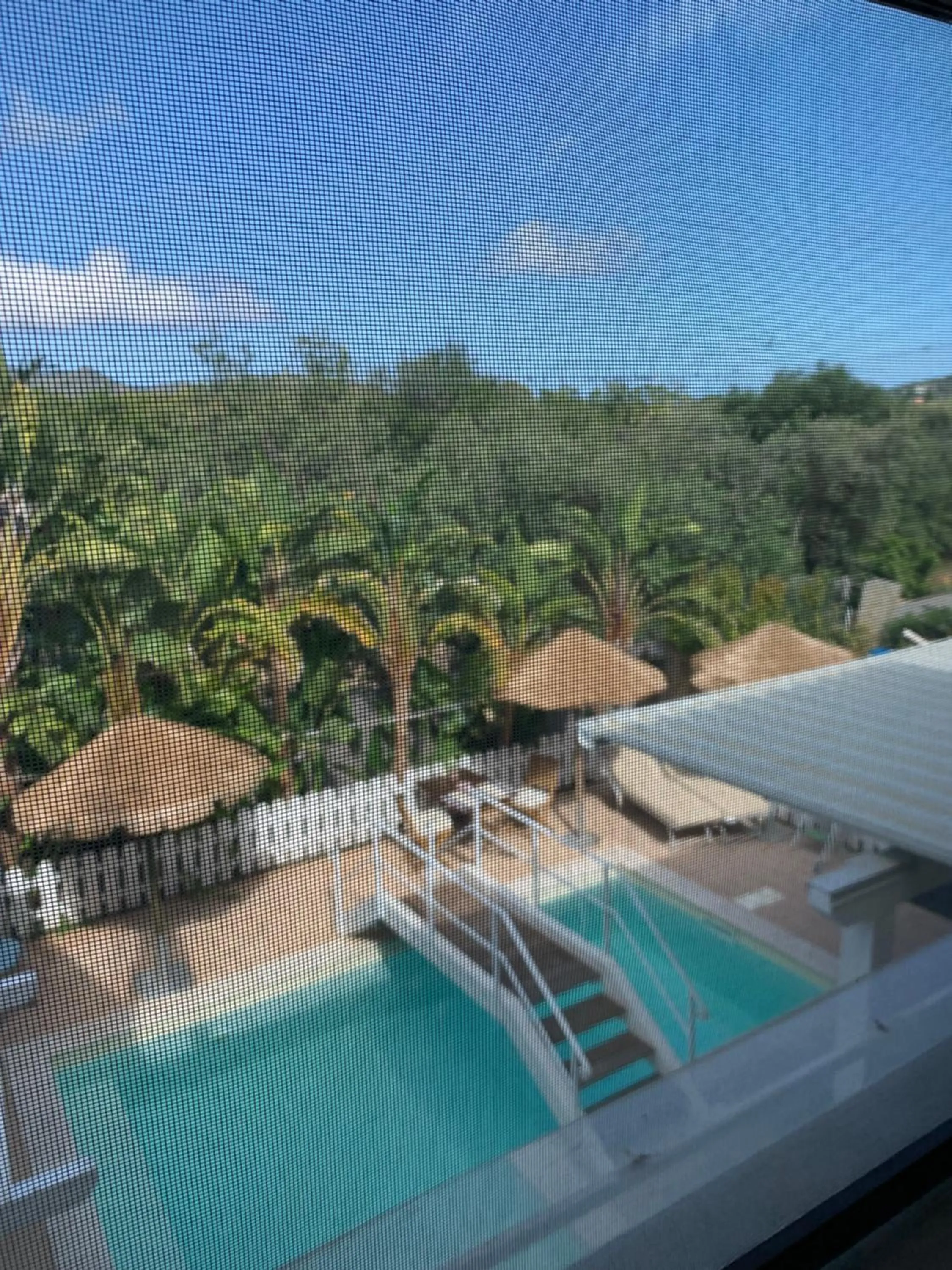 Pool view in L'Oasi Di Franco