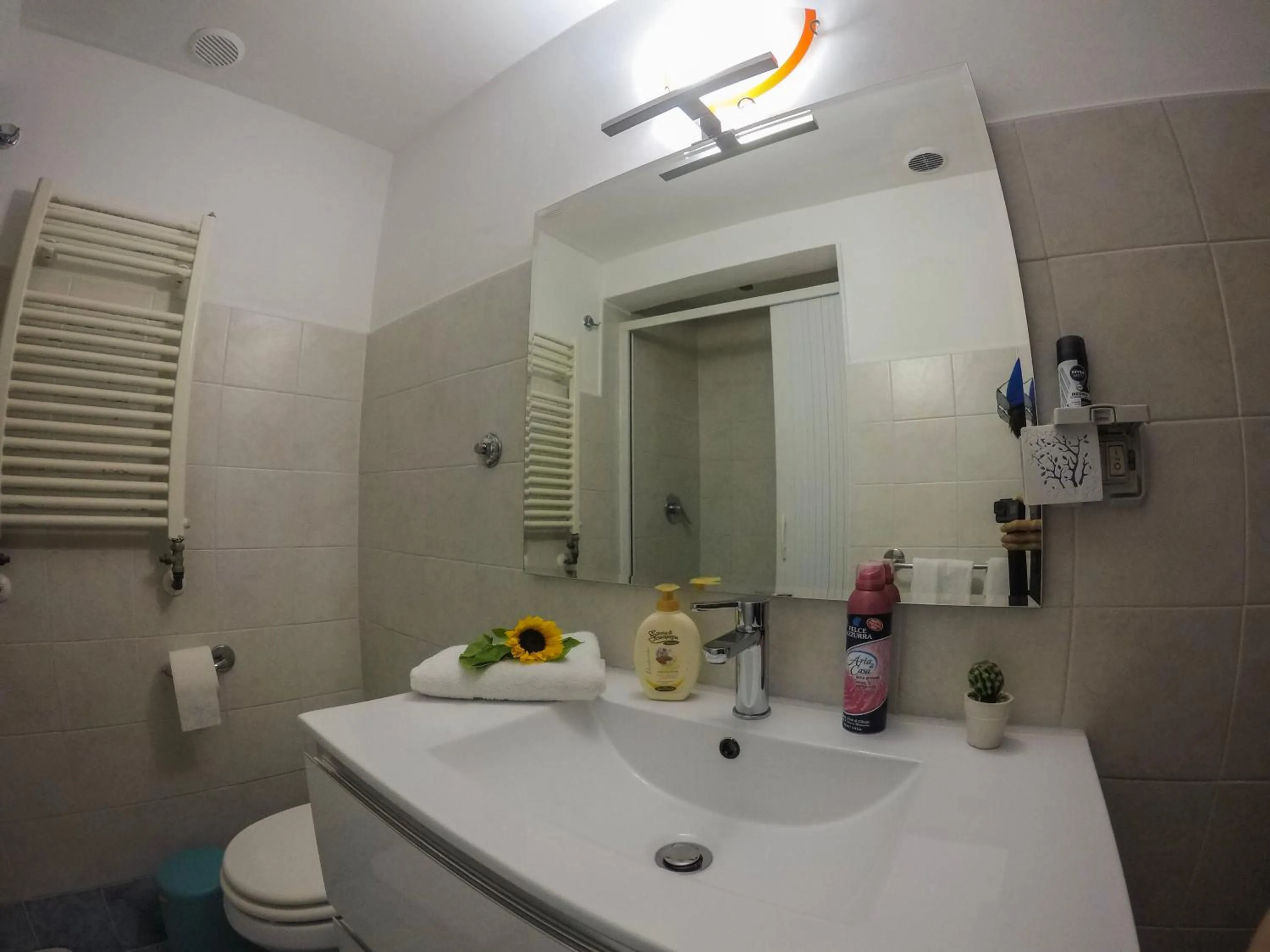 Bathroom in Român Holidays