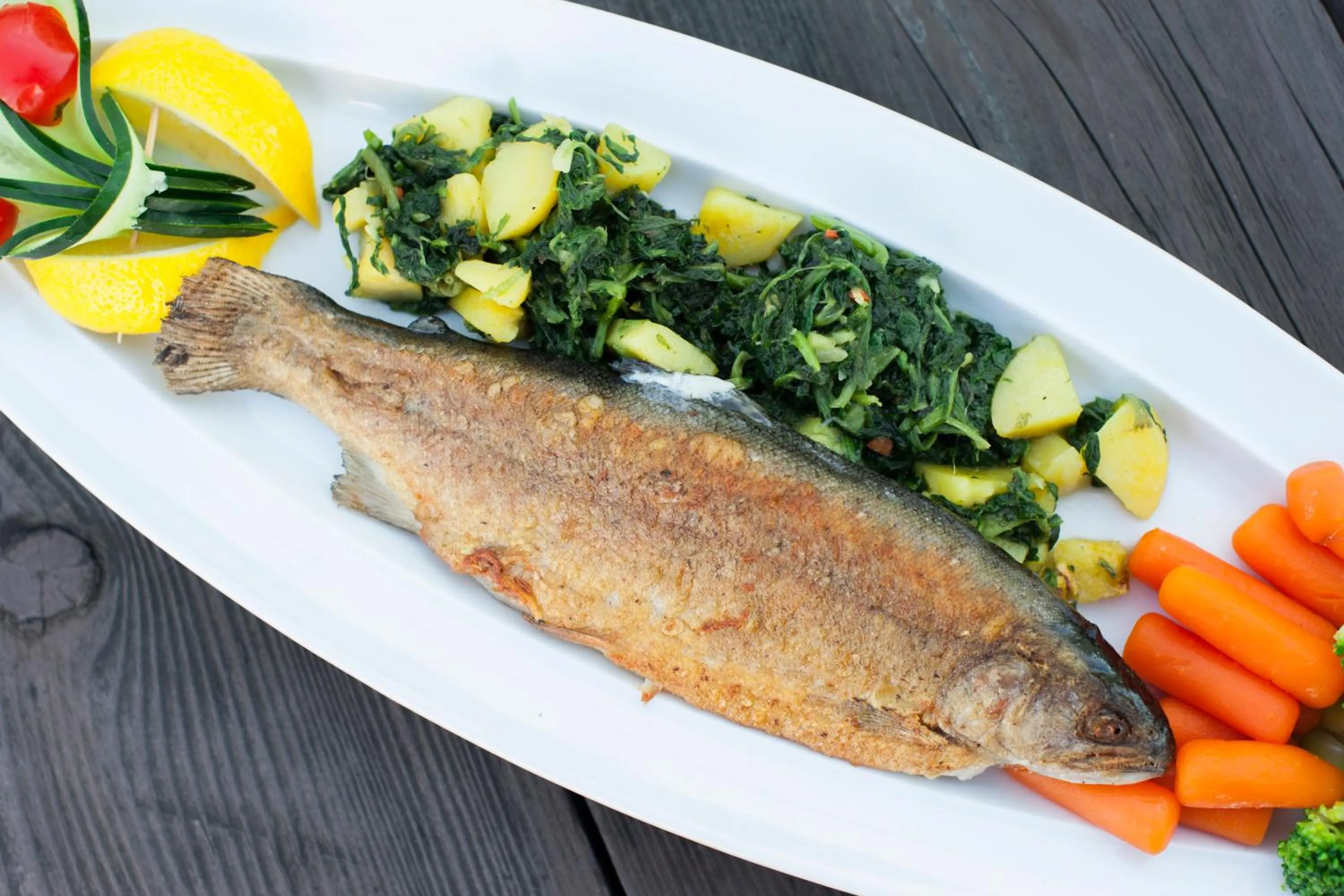 Food and drinks in ZOO hotel