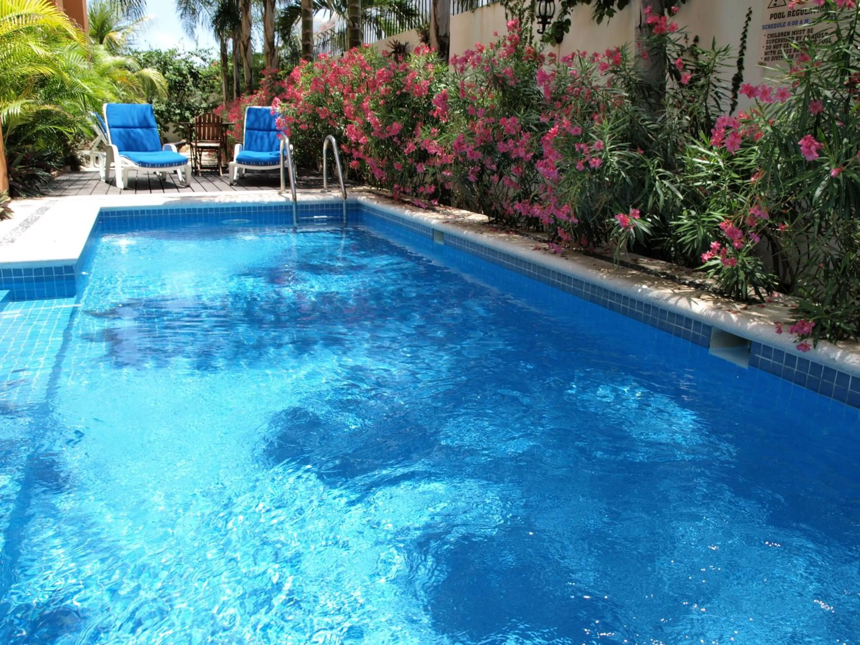Swimming pool in Hotel Las Golondrinas