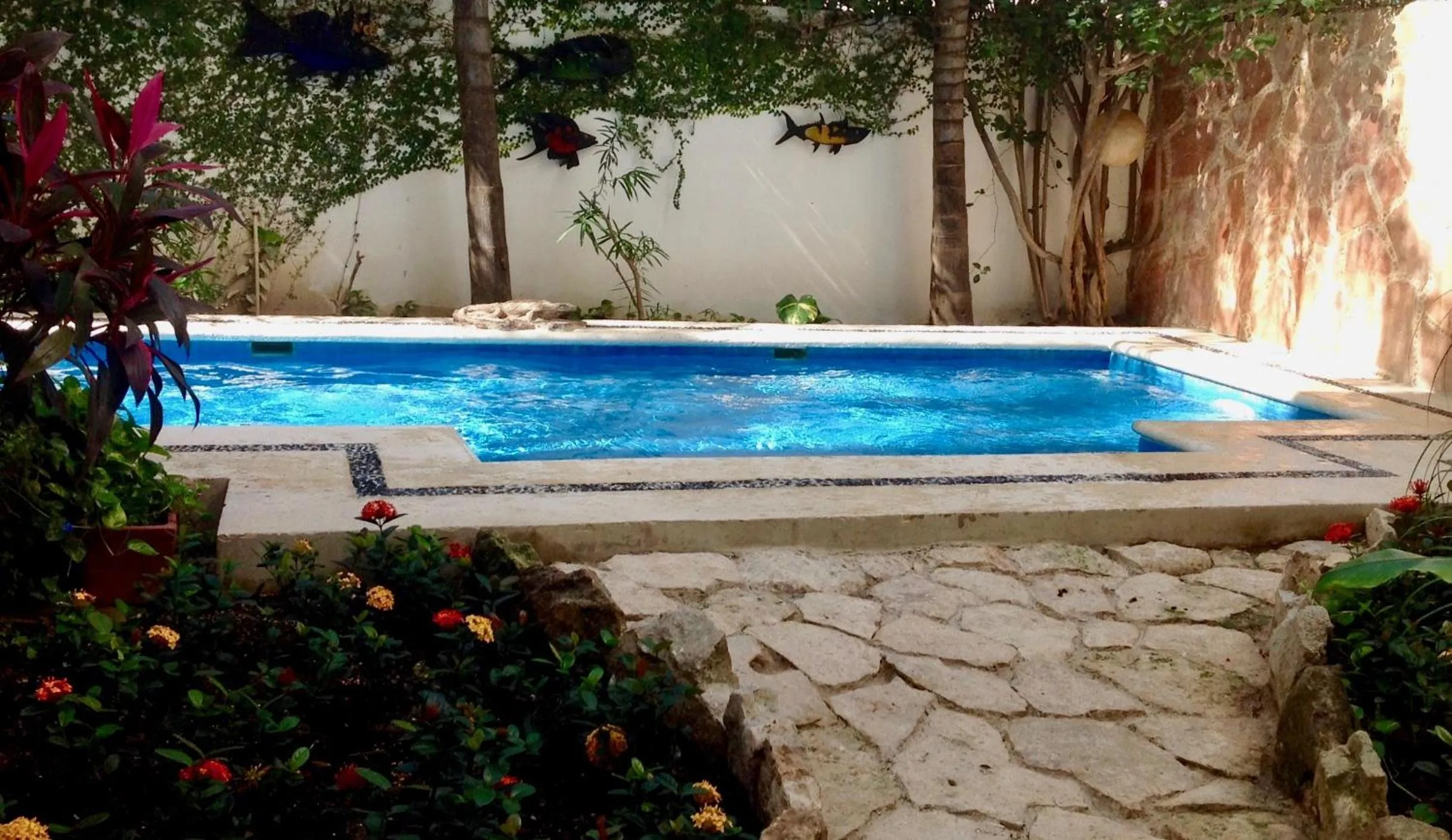 Swimming pool in Hotel Las Golondrinas