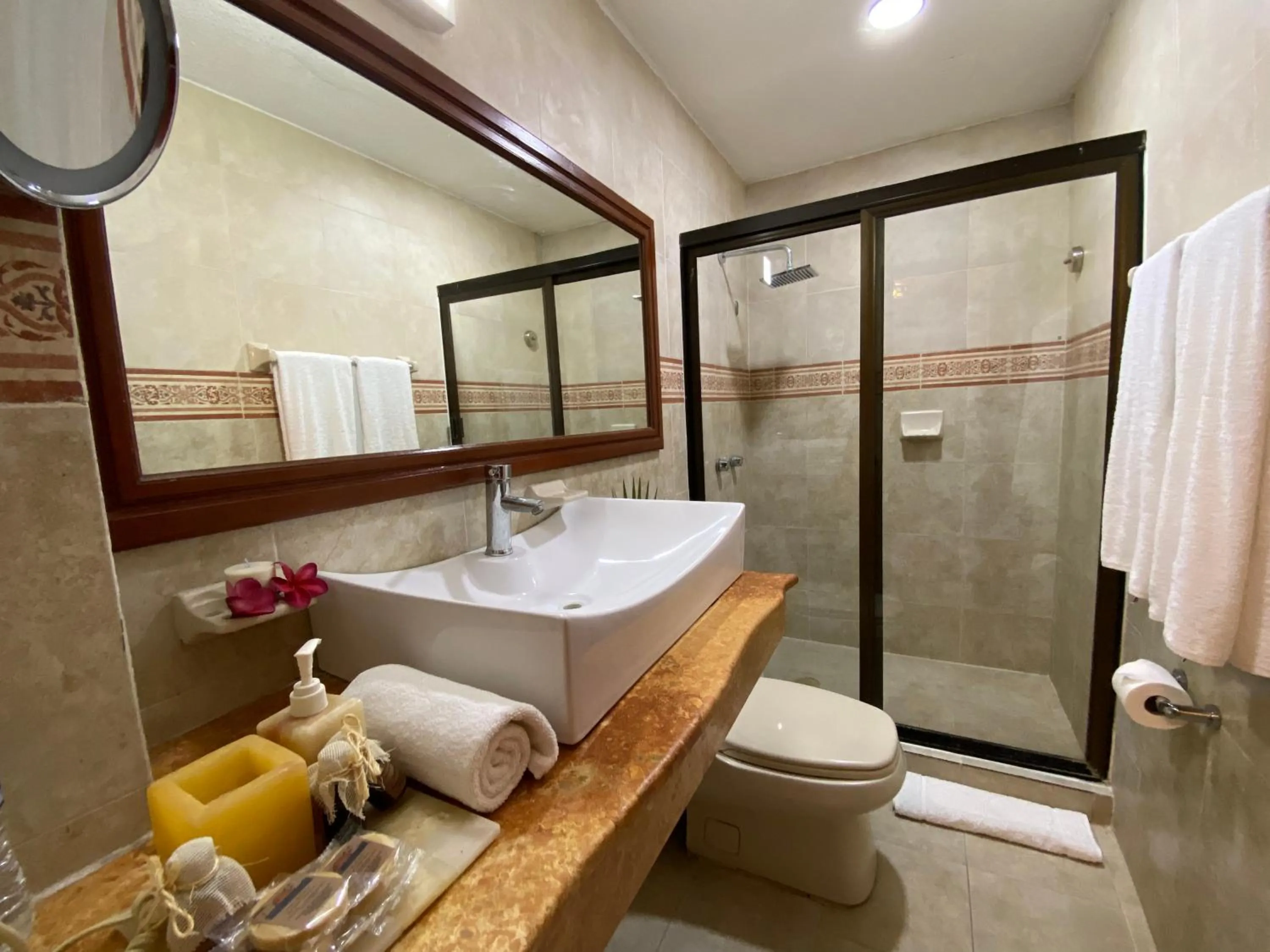 bidet in Hotel Las Golondrinas